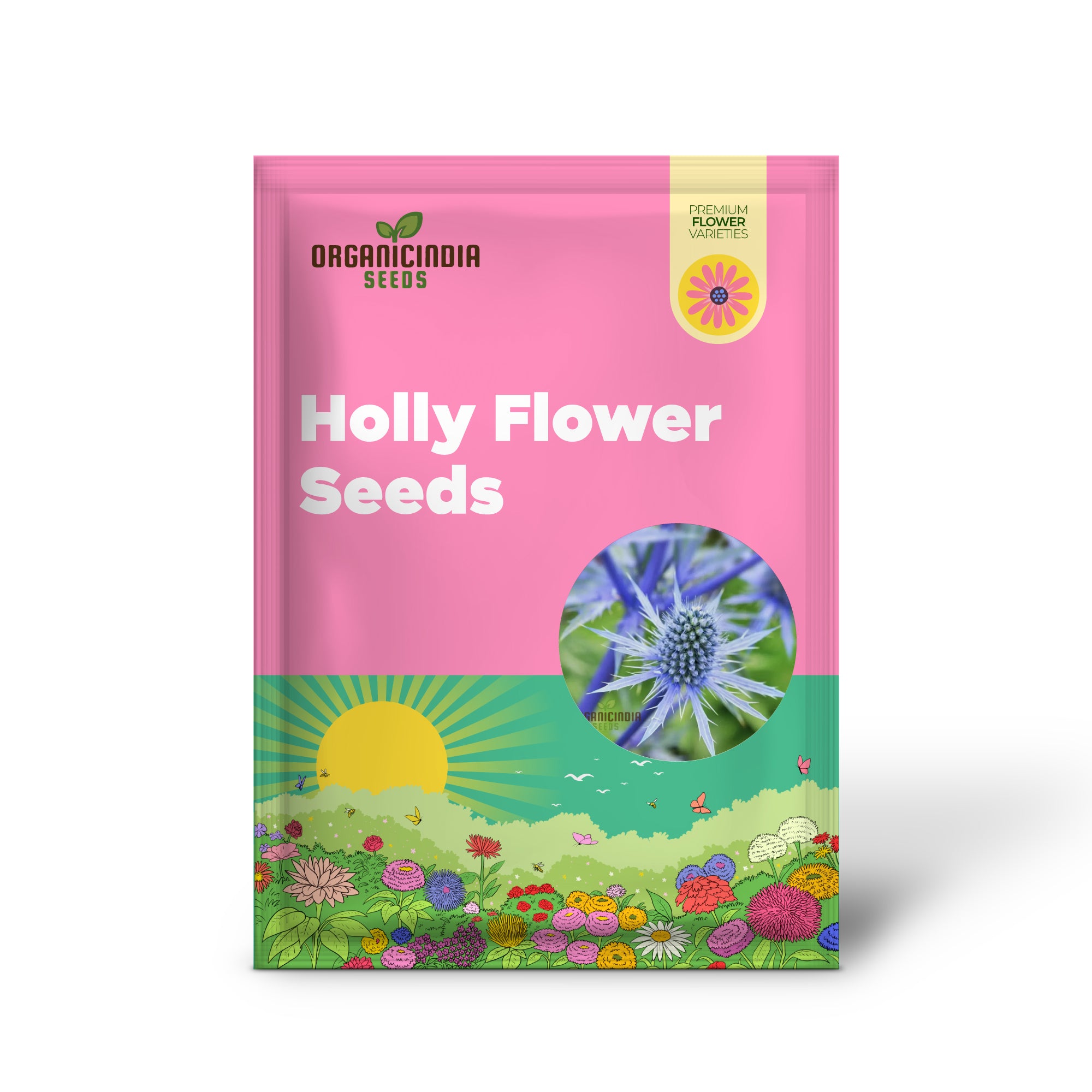 Sea Blue Holly Flower Seeds, Fresh Sea Blue Holly Seeds for Planting