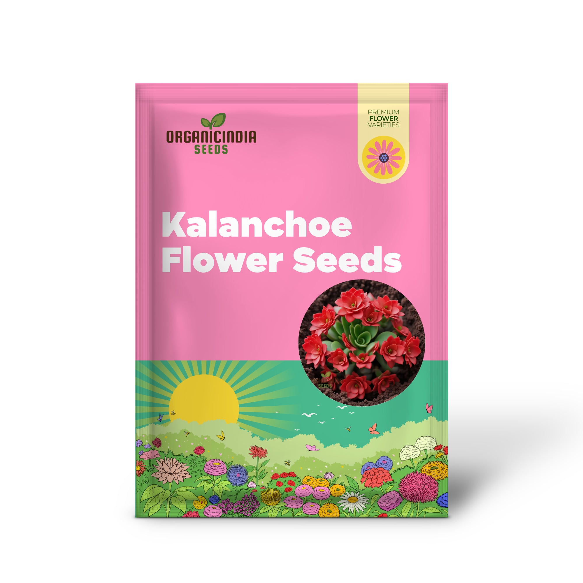 Vibrant Red Kalanchoe Flower Seeds for Planting, Easy to Grow,Perfect for Indoor & Outdoor Gardens