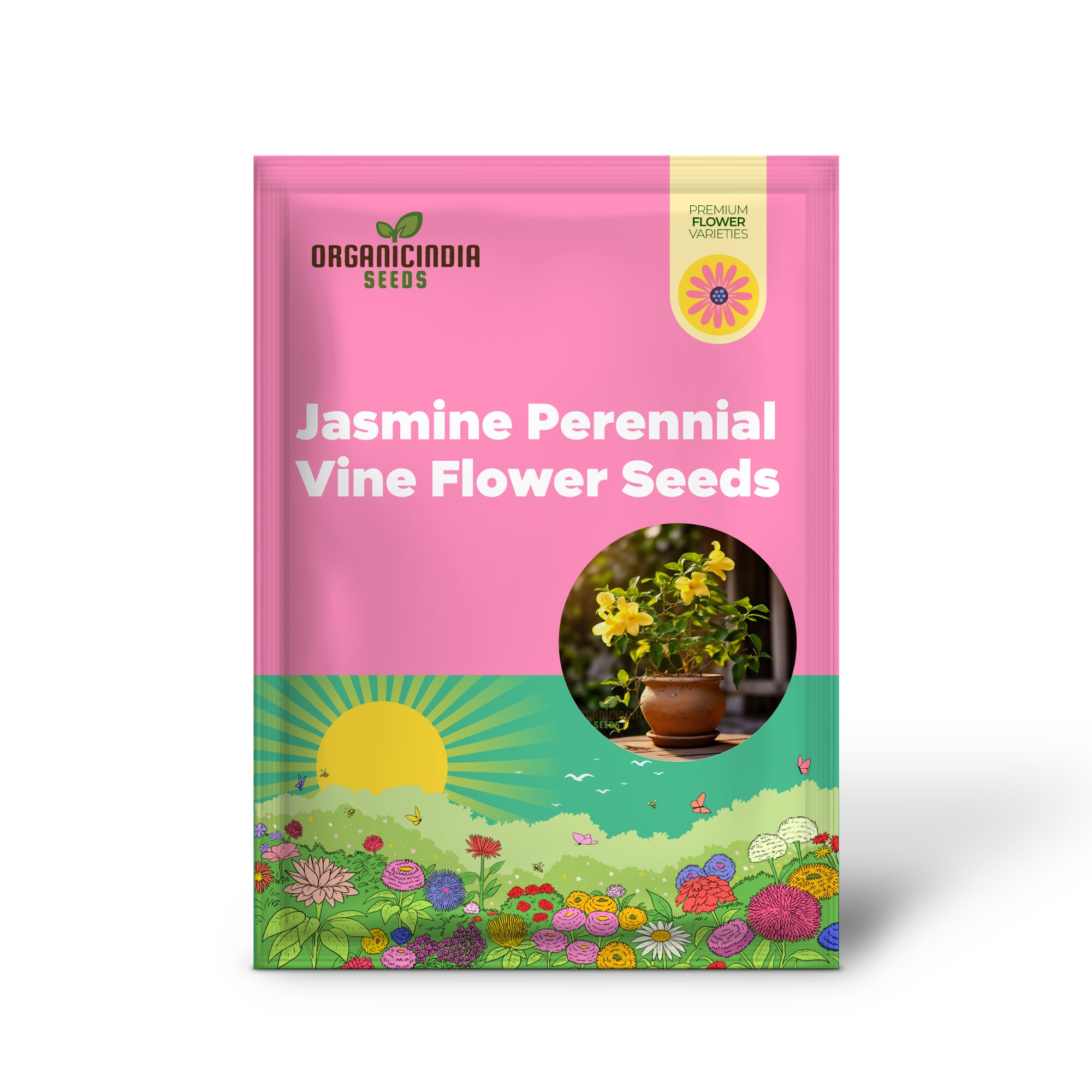 Graines de fleurs de vigne vivaces de jasmin jaune à planter - Le soleil fleurit pour une beauté éternelle du jardin