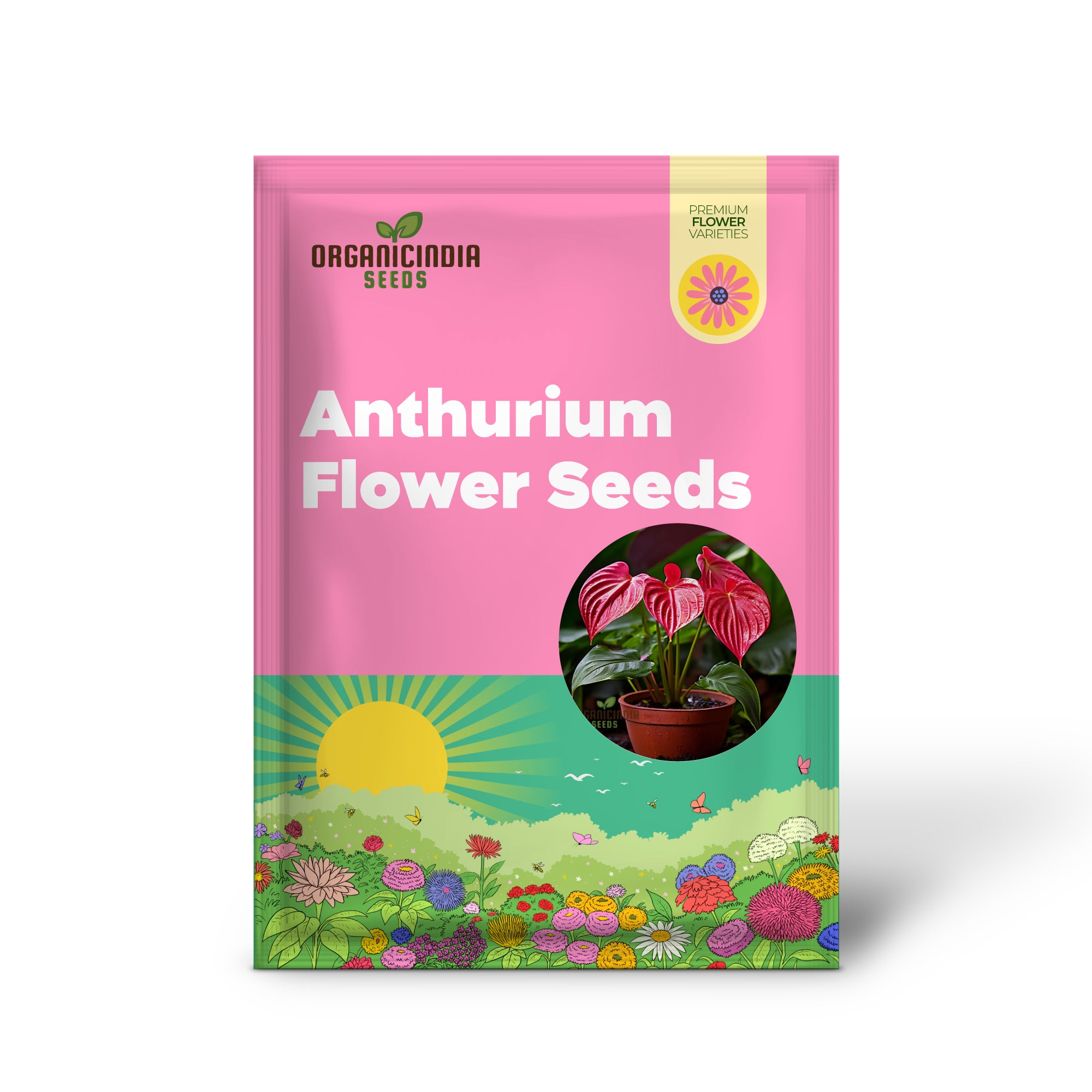 Anthurium Andreanna Flower Seeds, Mixed Fresh Varieties for Planting and Gardening - Cultivate Stunning Anthurium Blooms in Your Garden