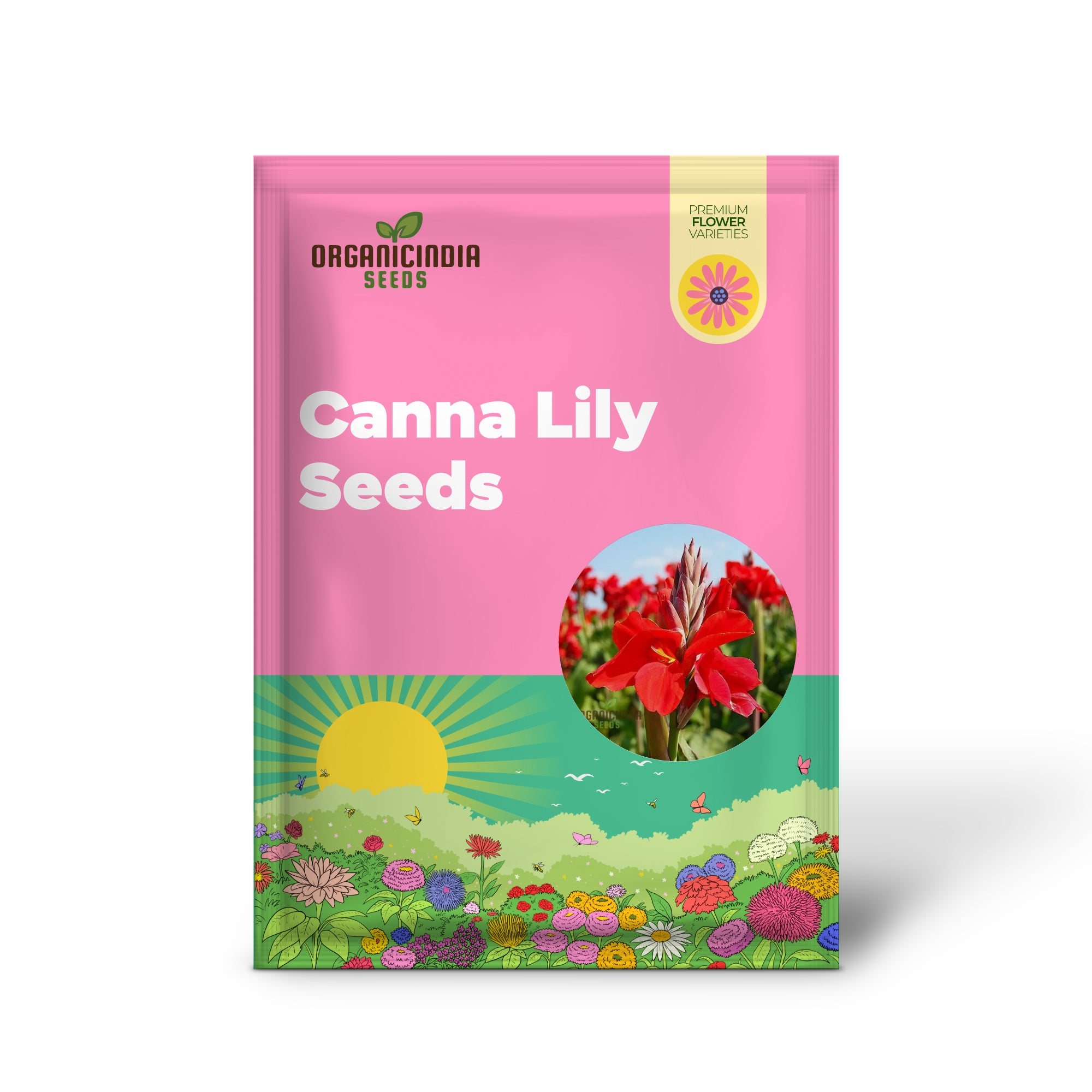 Tall Canna Lily Mix Seeds, Striking Varieties for Majestic Garden Displays - Premium Flower Seeds for Planting and Gardening Success