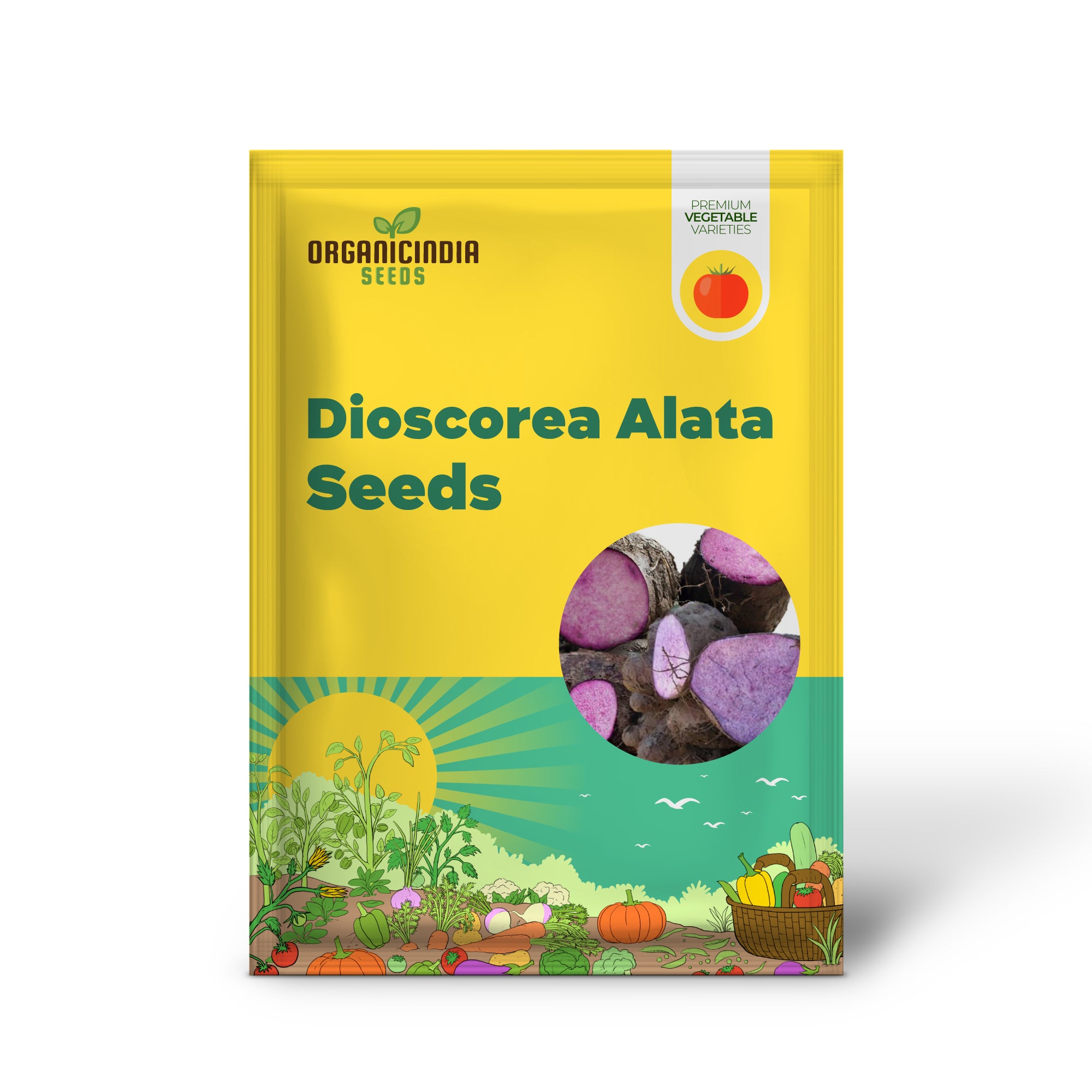 Premium Dioscorea Alata Seeds For Planting - Grow Exquisite Purple Yam in Your Garden