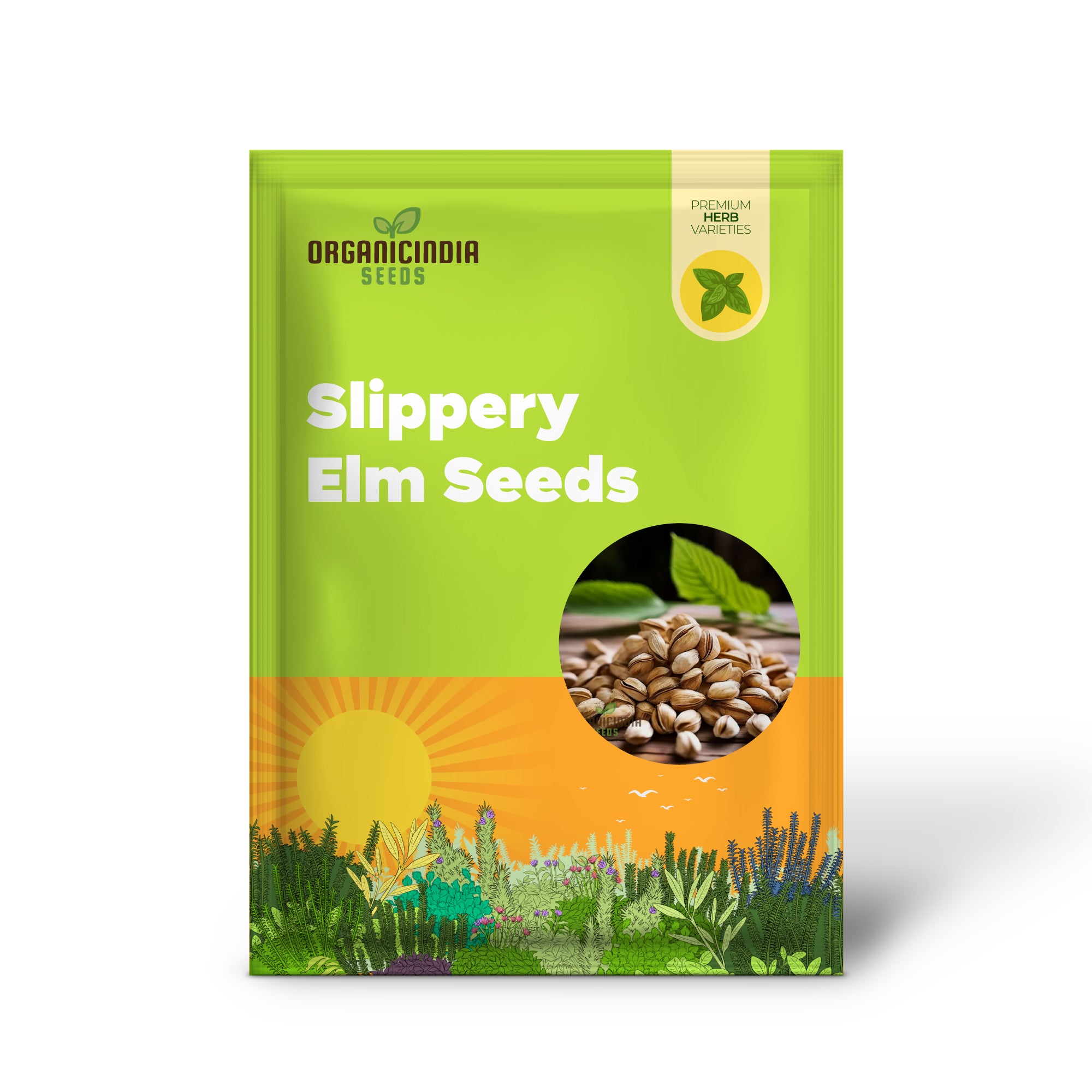 Pure Organic Slippery Elm Seeds, Cultivate Nature's Healing Power with Premium Herb Seeds for Planting