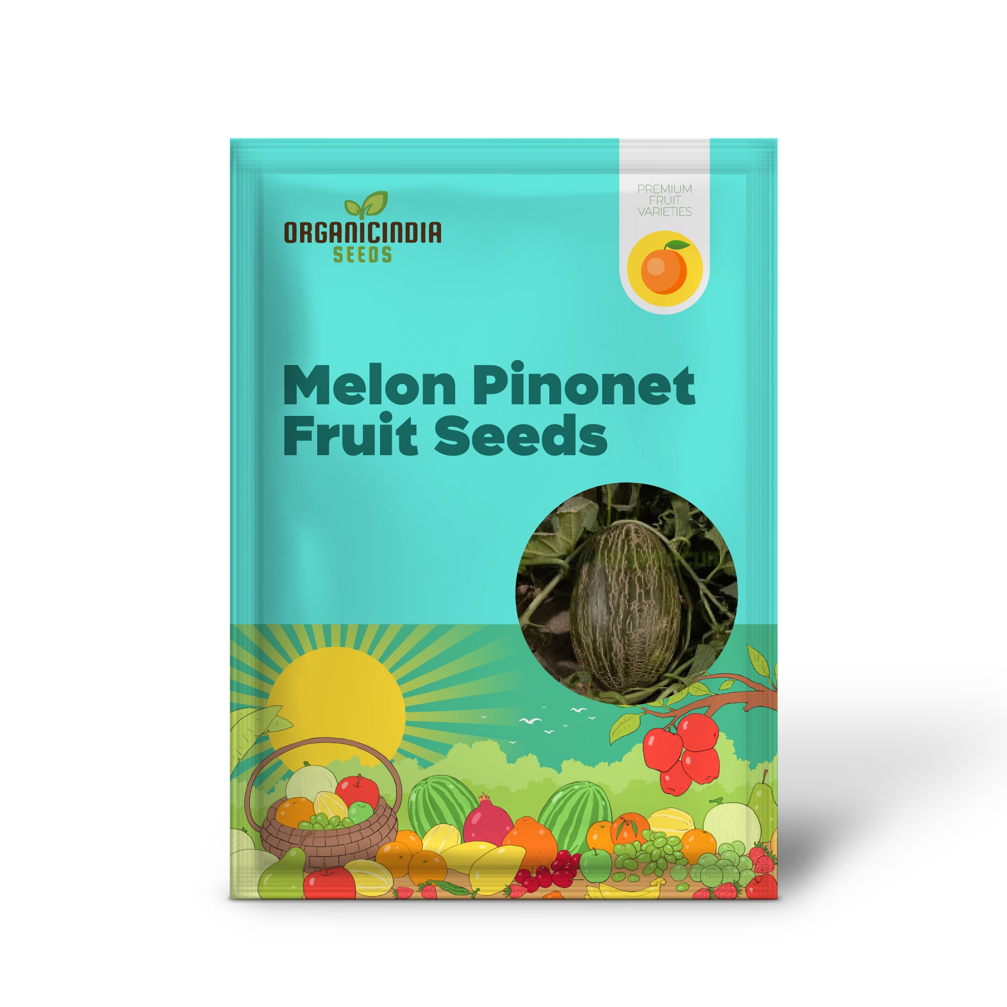 Melon Pinonet Seeds, Exotic Organic Fruit Seeds for Your Garden