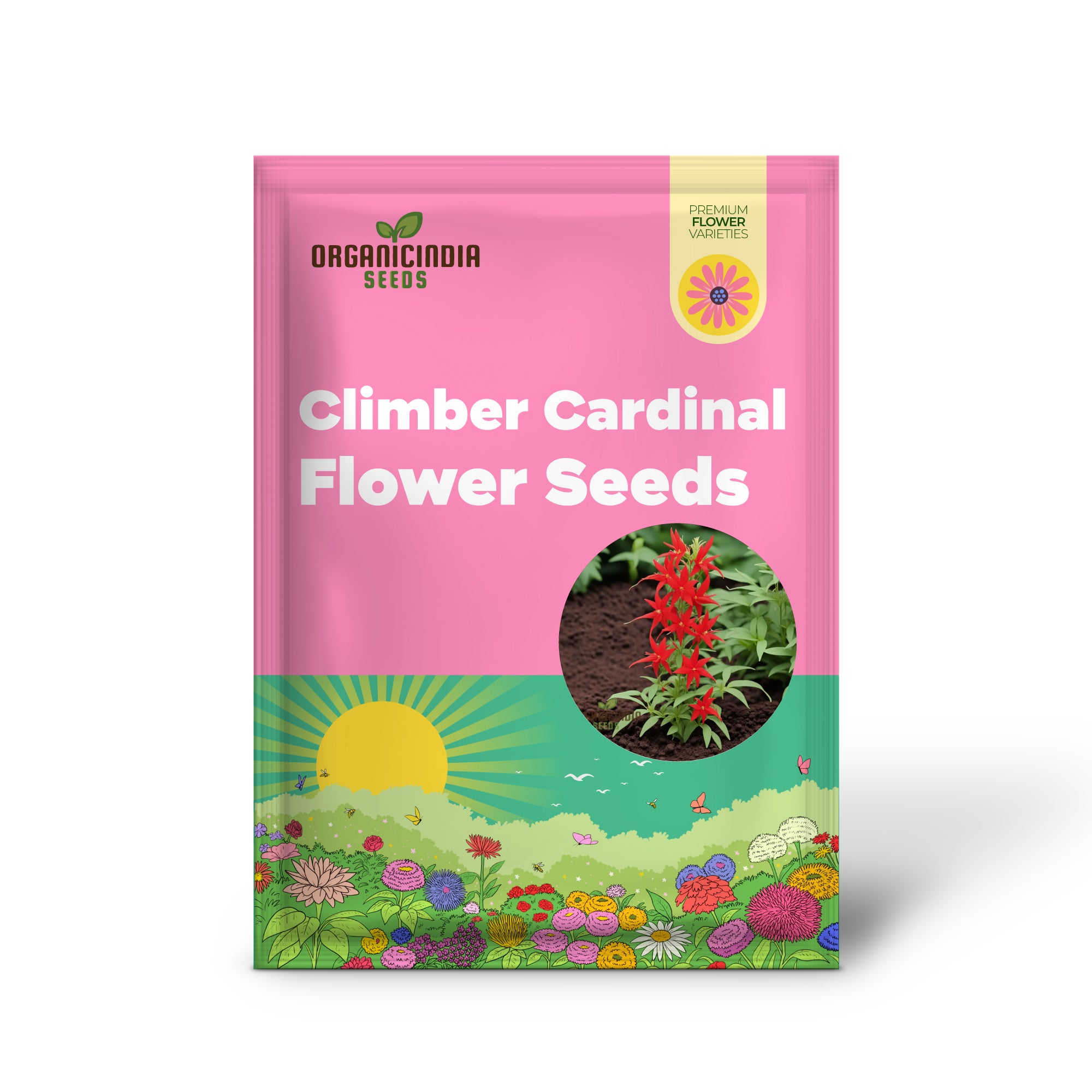 Red Climber Cardinal Flower Seeds, Easy-to-Grow Flower Seeds for Vibrant Garden Blooms and Planting