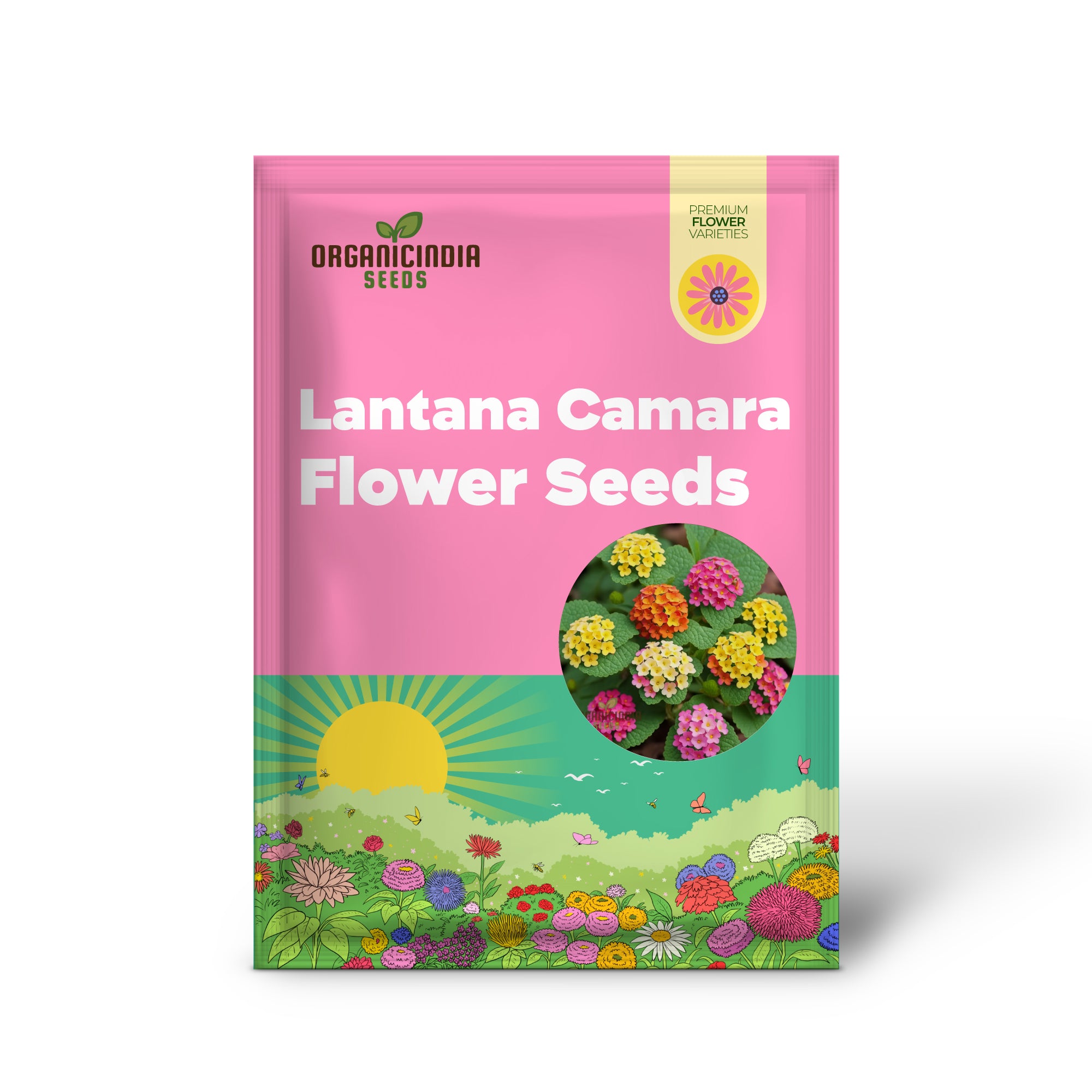 High Quality Non-GMO Lantana Camara Flower Seeds for Planting