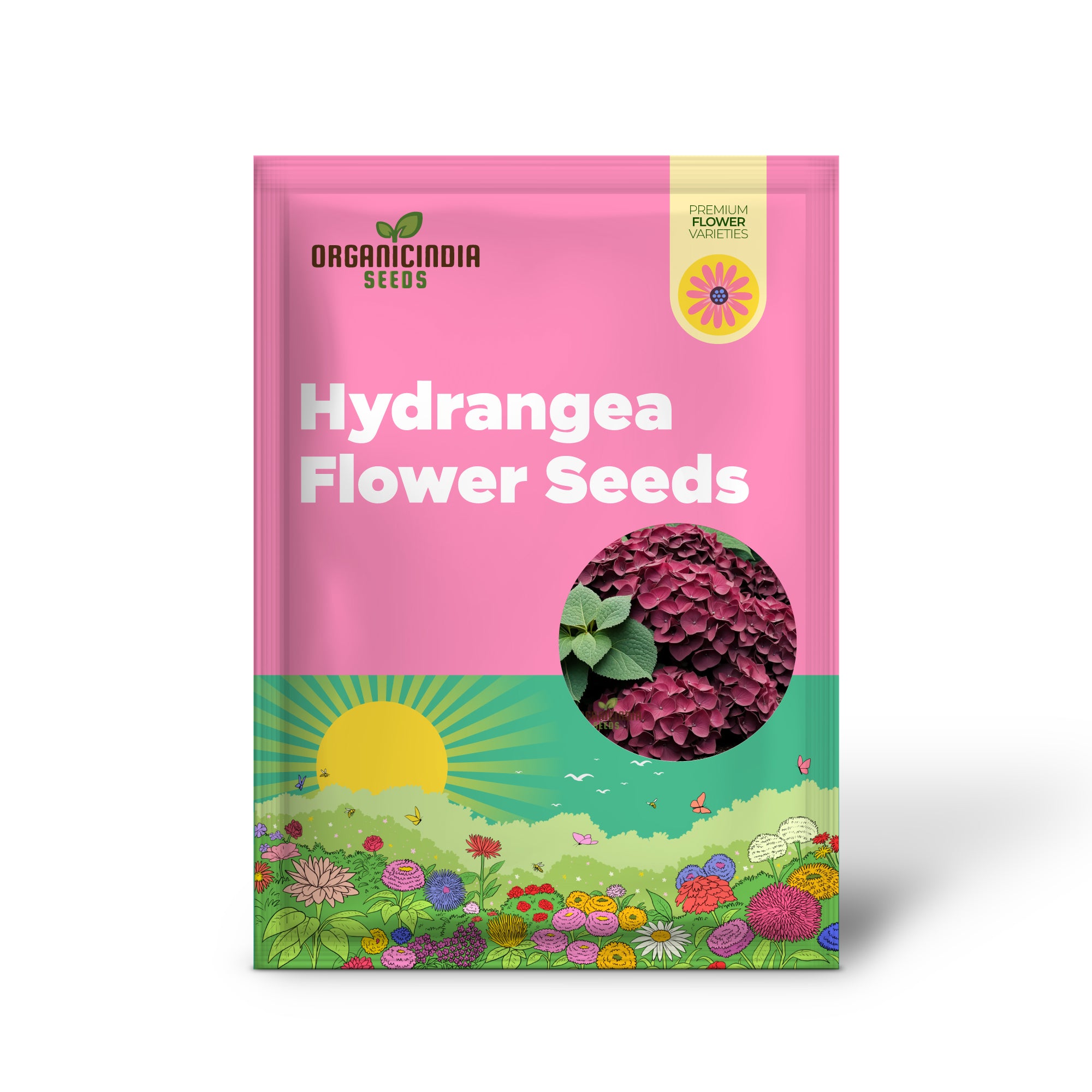 Premium Burgundy Hydrangea Flower Seeds, Easy-to-Grow Seeds for Rich-Colored Garden Blooms and Planting