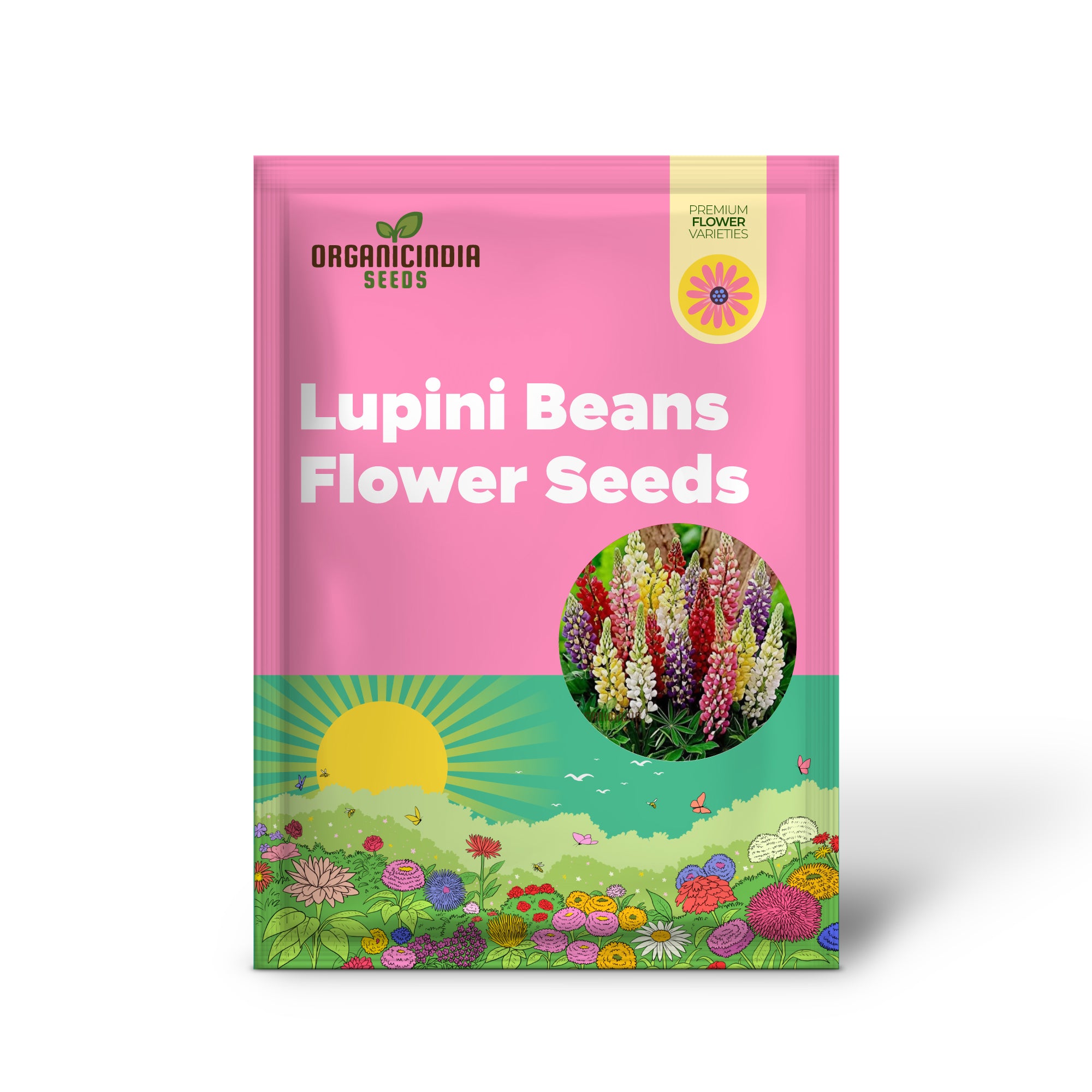 Lupini Beans Flower Seeds, Beautiful Blooms & Nutritious Beans, High-Quality Flower Seeds