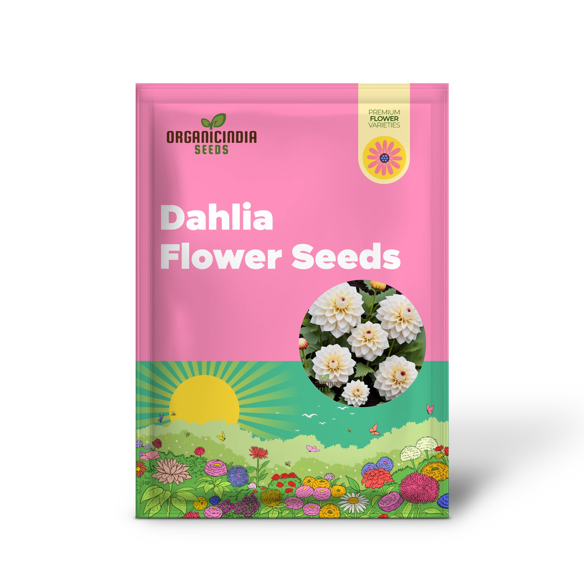 White Dahlia Flower Seeds, High-Quality Flower Seeds for Elegant Garden Blooms and Planting