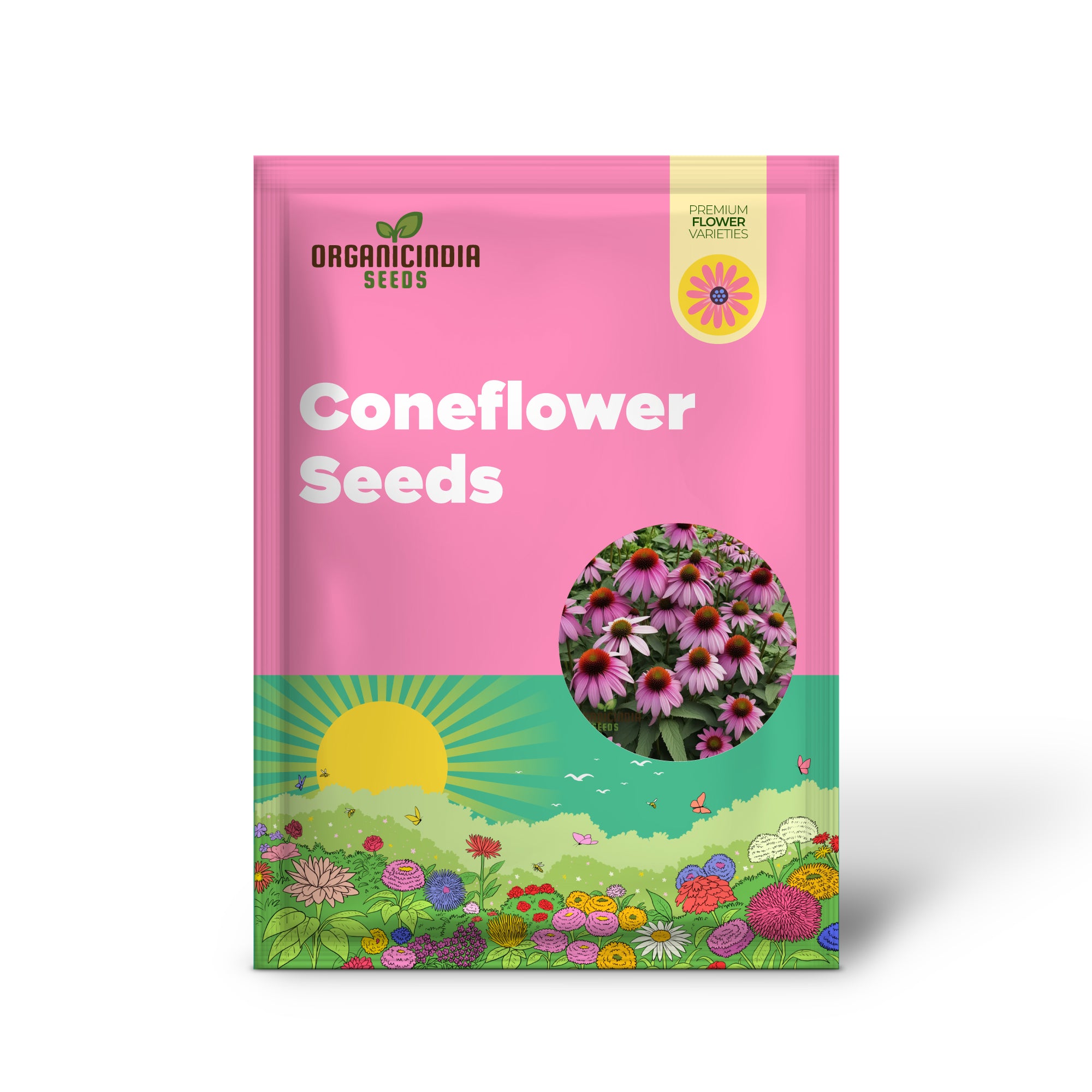 Purple Coneflower Seeds, Non-GMO Flower Seeds for Vibrant Garden Blooms and Planting