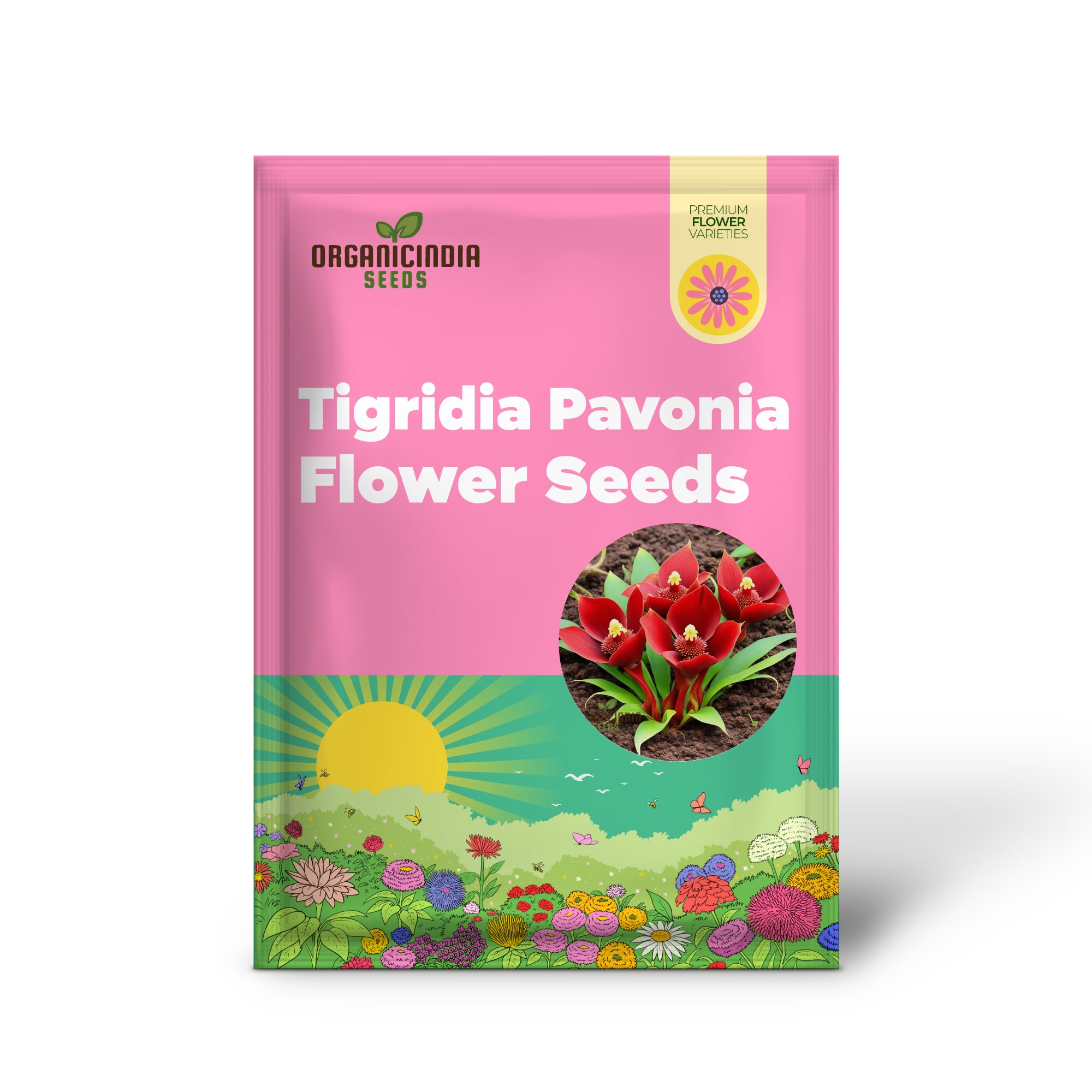 Red Tigridia Pavonia Flower Seeds, Exotic Garden Blooms with Easy-to-Grow Flower Seeds for Planting