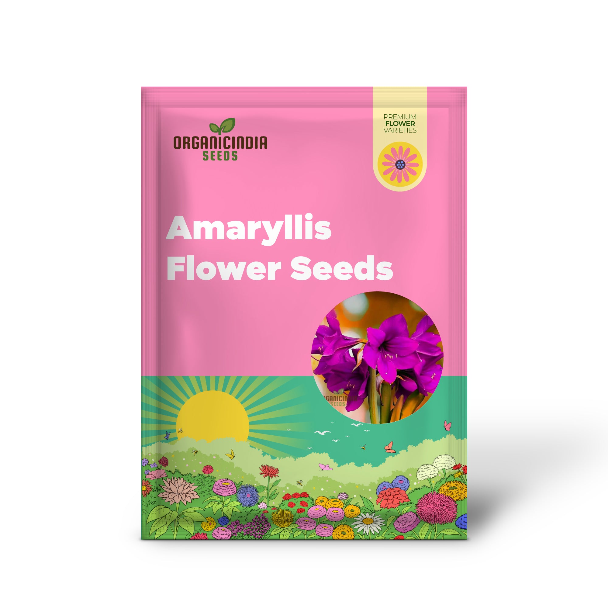 Violet Amaryllis Flower Seeds, Purple Amaryllis Bulb Seeds for Stunning Garden Blooms and Planting