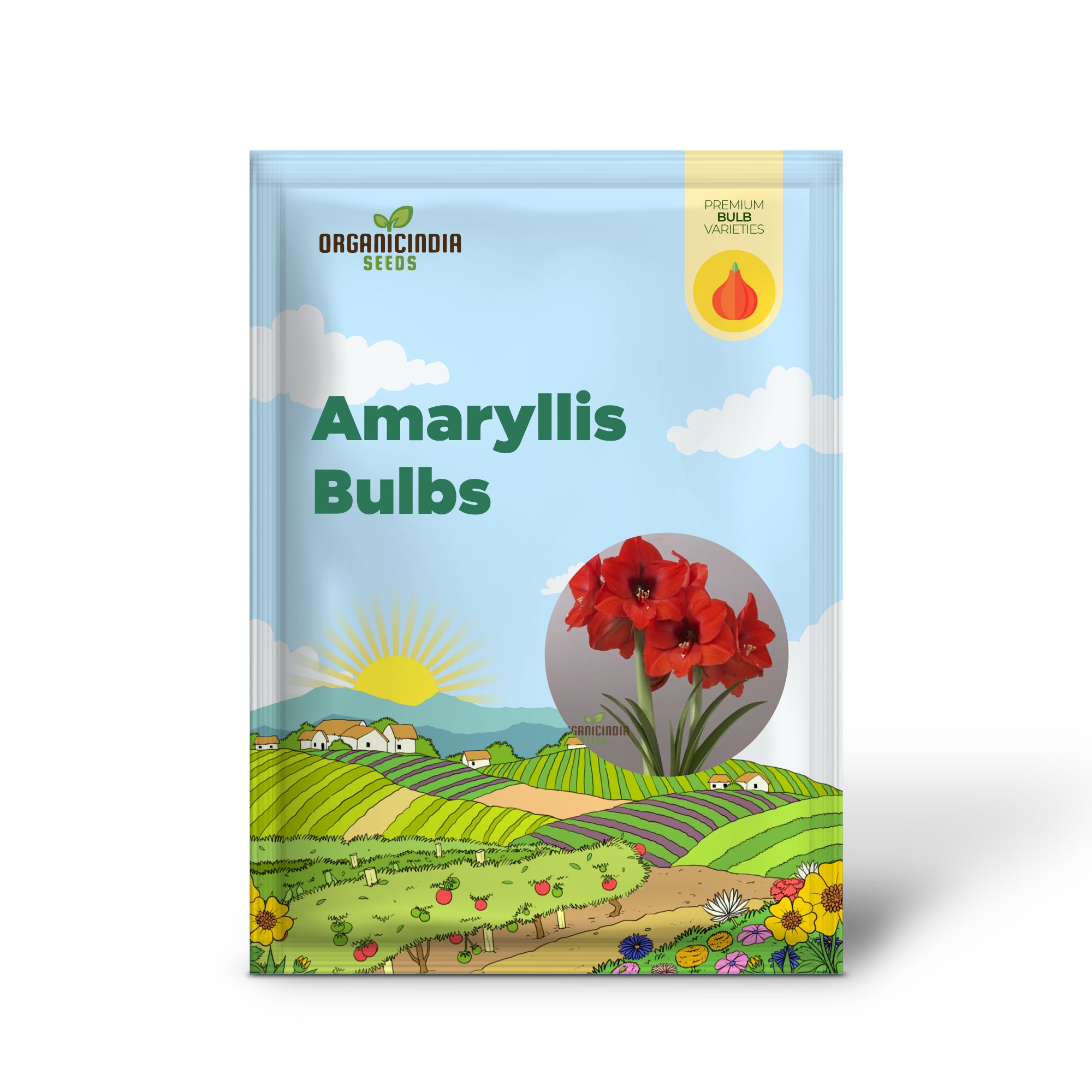 Vibrant Amaryllis Bulbs for a Perfect Garden Ensemble(3 Bulbs in a pack for planting)