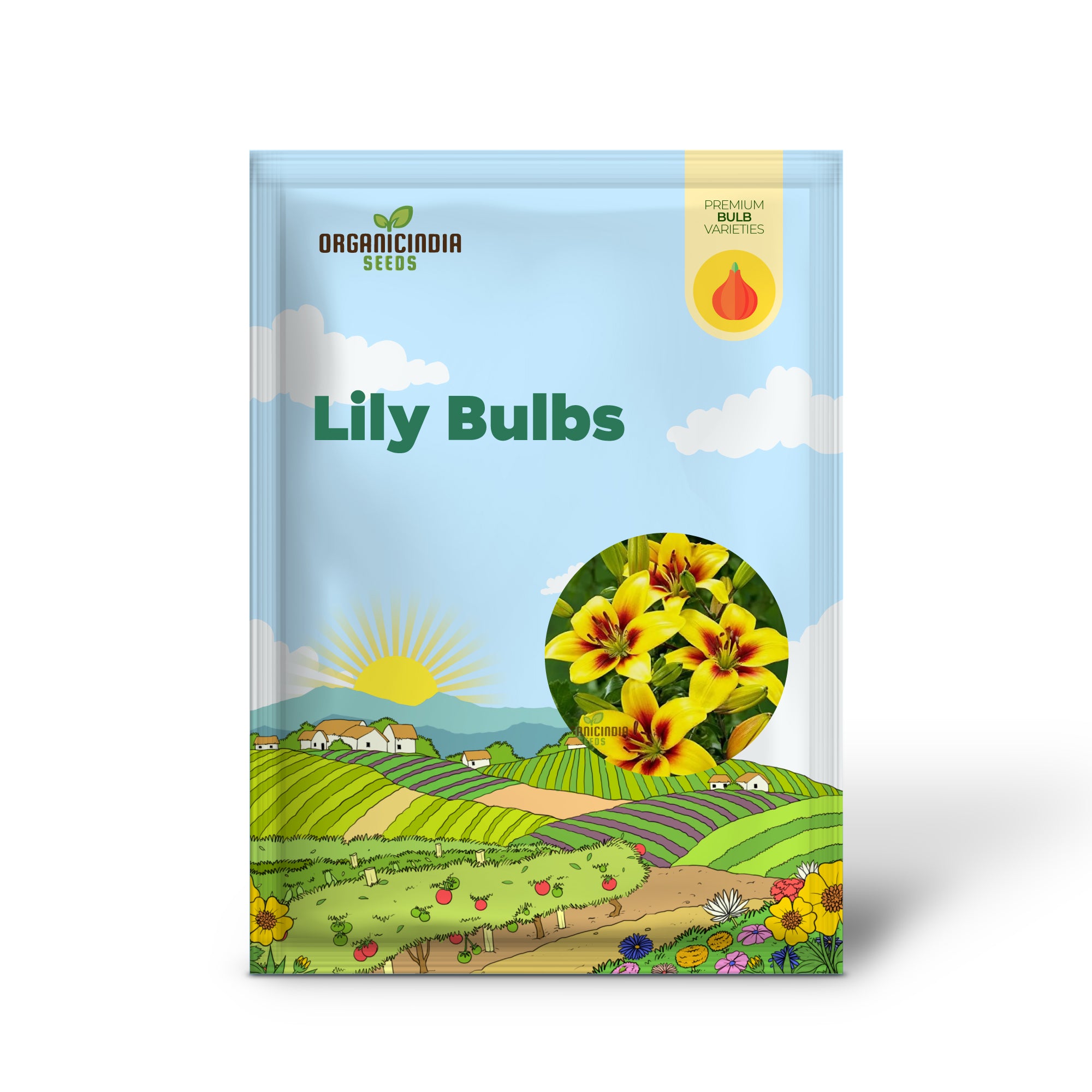 Secret Garden Treasures Lily Bulbs for a Symphony of Colors(Pack of 3 for planting)