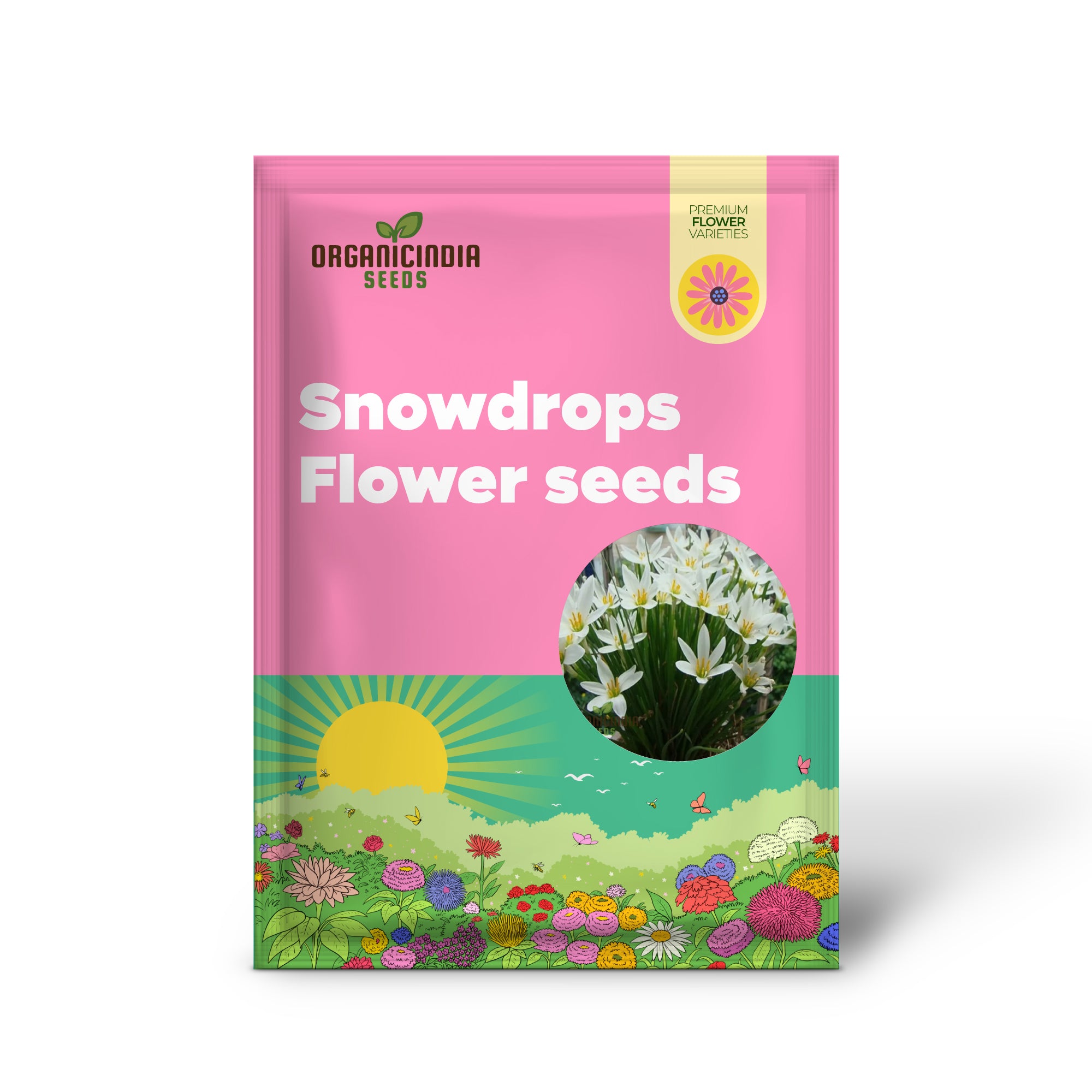 White snowdrops flower seeds for Planting, Now Spring Flowering Bulbs Double Single Collection