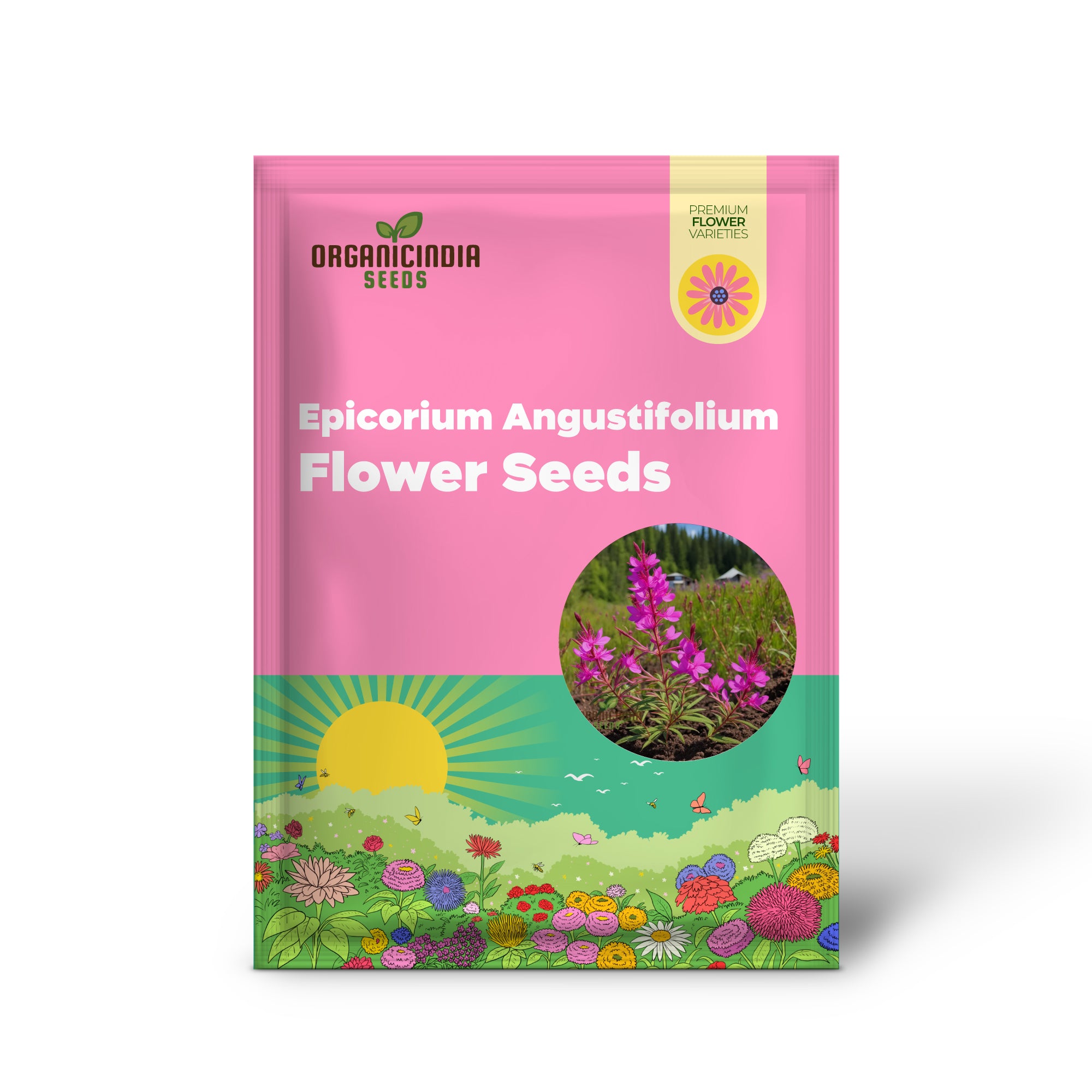 Epicorium Angustifolium Flower Seeds, Vibrant Beauty, Epilobium angustifolium (Fireweed) Flower Seeds for Your Garden