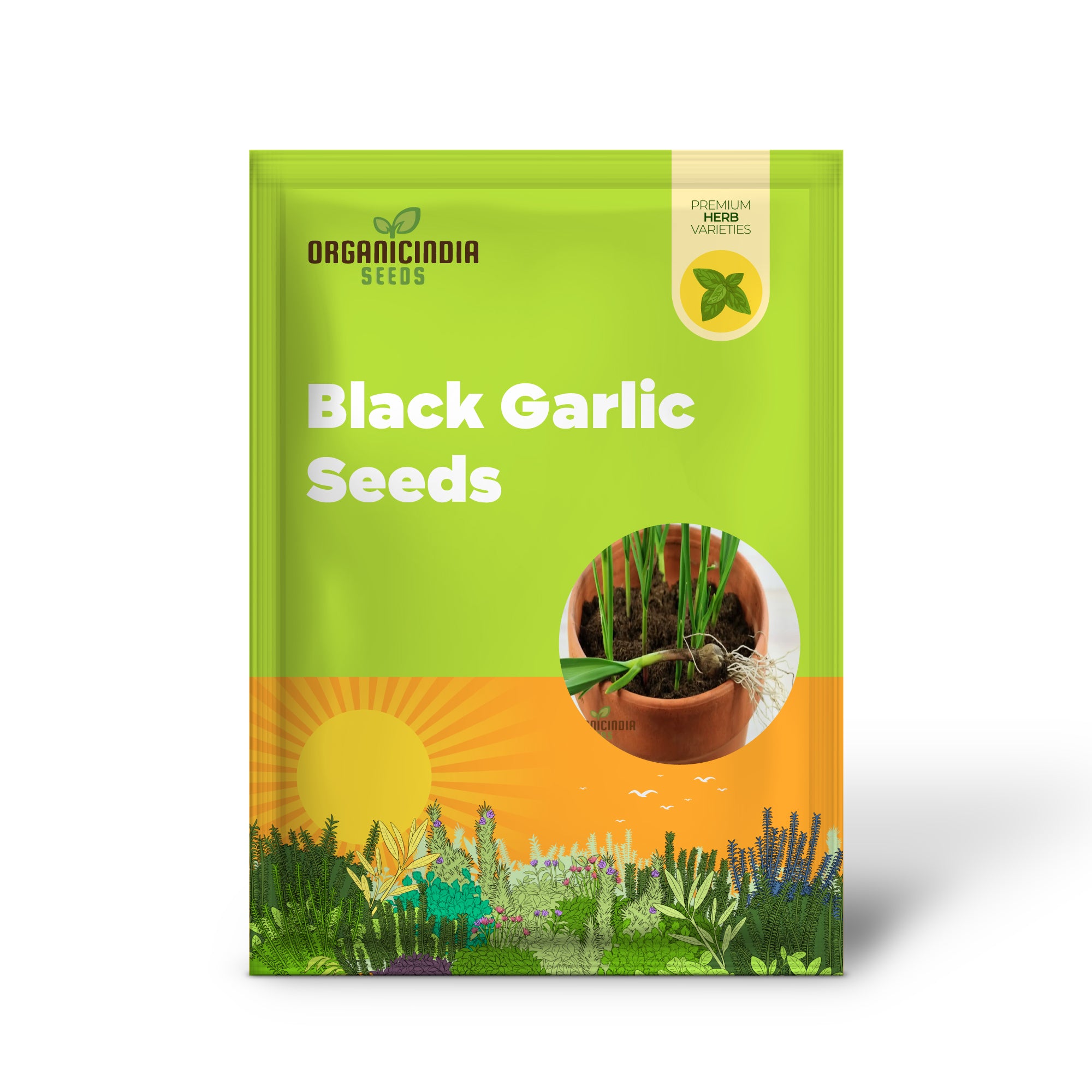 Black Garlic Seeds, Rare Color Vegetable Survival Gear Food Seeds, Robust Flavor Seasoning Culinary Cooking Vegetables For Planting