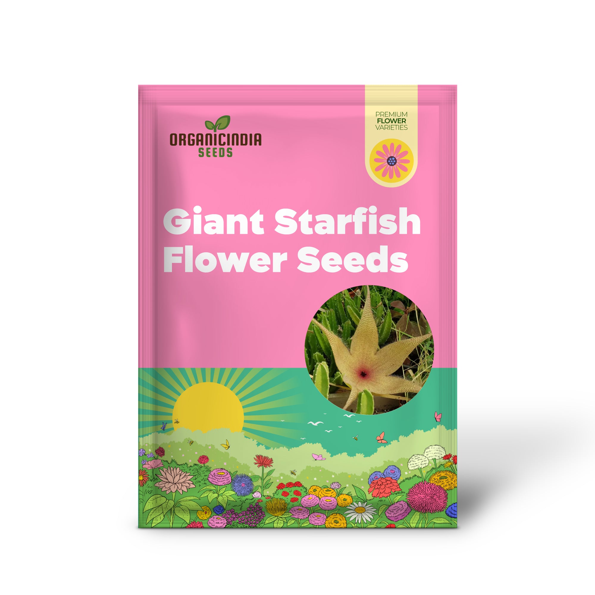 Giant Starfish Flower Seeds, Rare Hermia, Zulu Carrion Giant for Planting