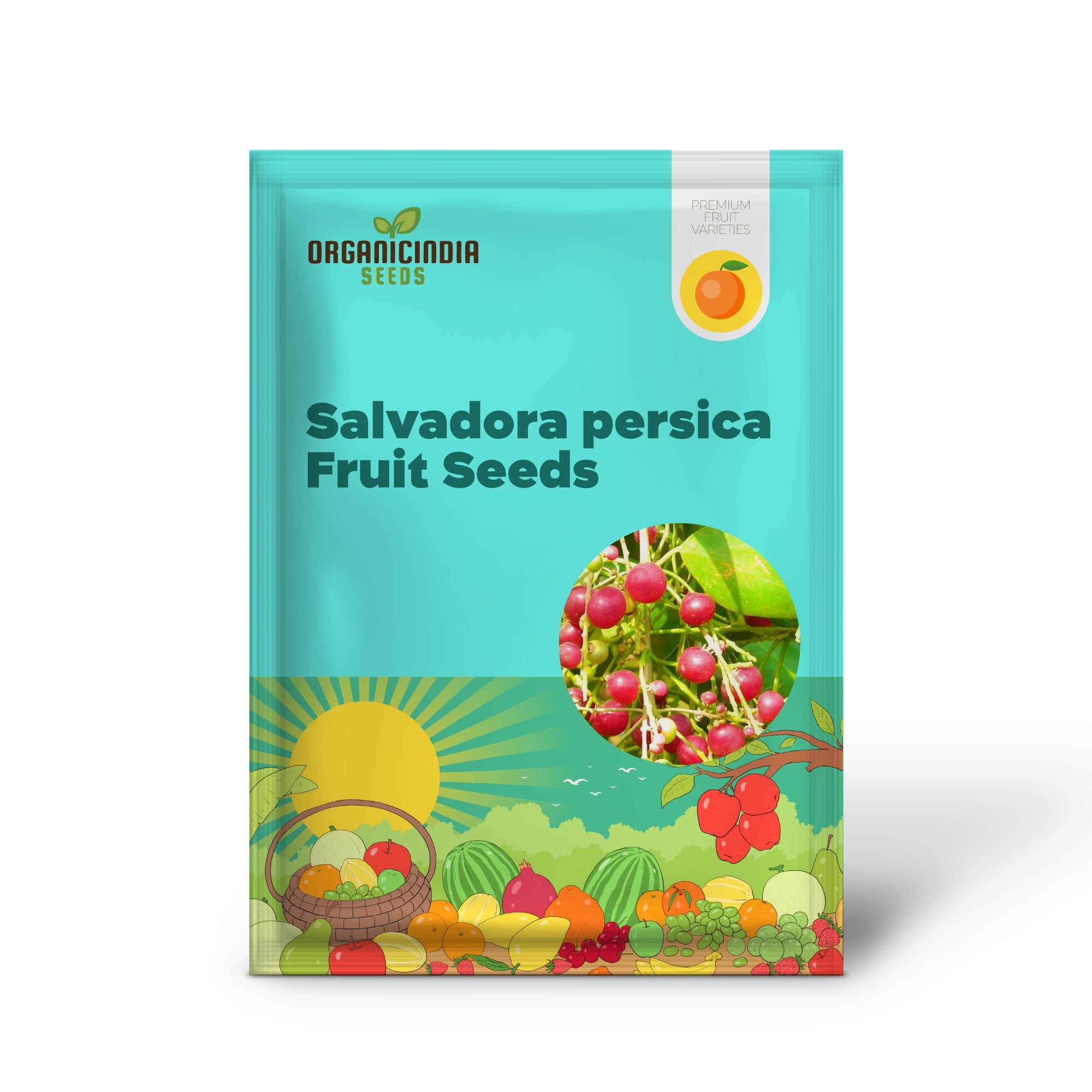 Salvadora persica, Toothbrush Tree, Mustard Tree, or Salt Brush Tree seeds for planting