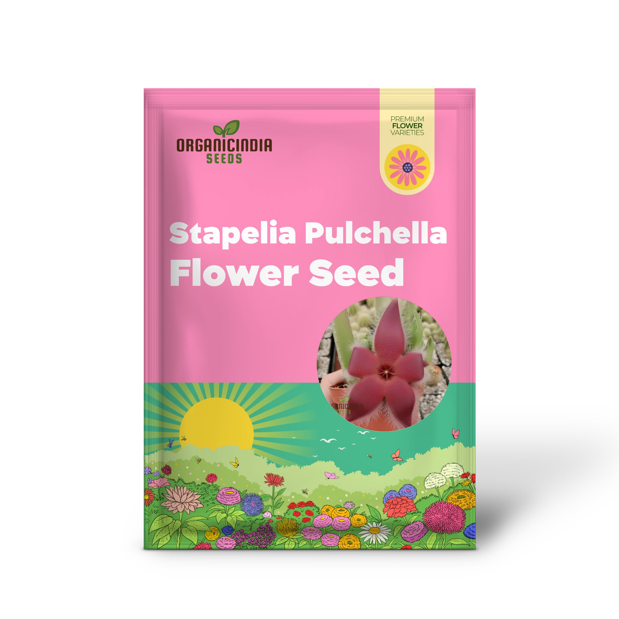 Stapelia Pulchella & Lithops Mix Succulent flower Seeds, Rare and Exotic Varieties for Your Succulent Collection High-Quality Seeds