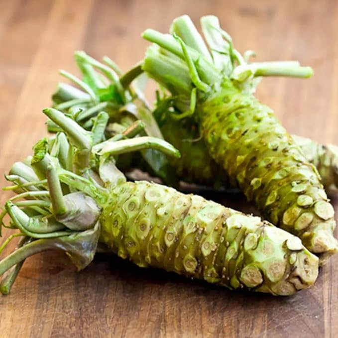 Wasabi Seeds Japanese Horseradish for Spicy Condiment And Pungent Paste  Vegetable Seeds