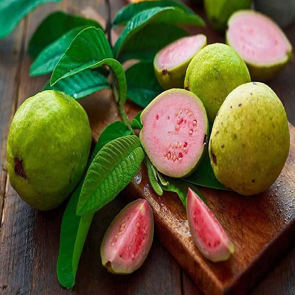 Sardar (Lalit/Redland White) Guava Seeds – High-Yield Sweet Tropical Fruit for Planting