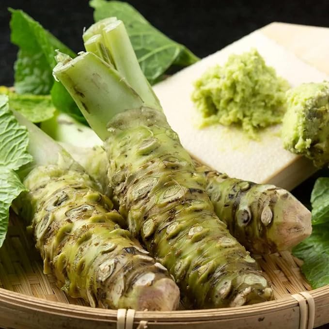 Wasabi Seeds Japanese Horseradish for Spicy Condiment And Pungent Paste  Vegetable Seeds