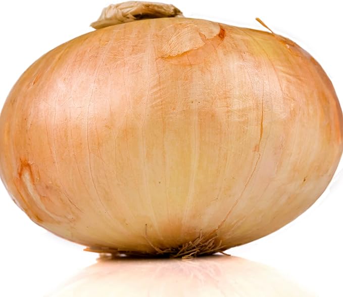 Vidalia Onion Seeds  Non GMO Heirloom, Fast Growing Spring Variety for Backyard And Balcony