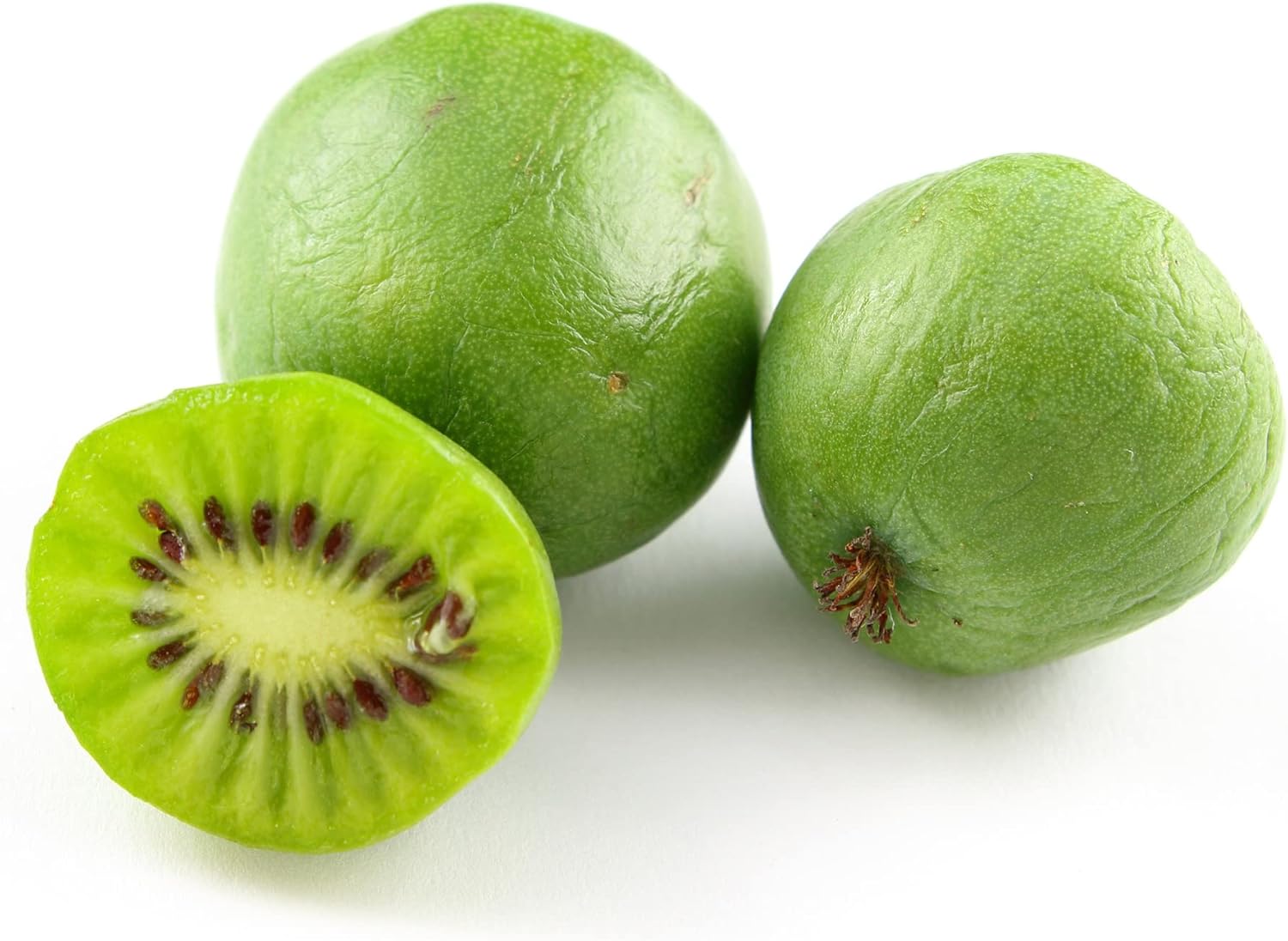 Graines de Kiwi Hardy - Actinidia Arguta Plante grimpante vivace pour treillis et clôtures, sans OGM, fruits et baies parfumés - 10 graines de fruits 