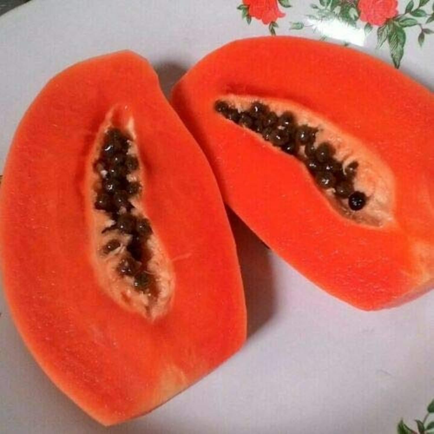 Florida Red Papaya Seeds for Planting – Sweet & Juicy Tropical Fruit