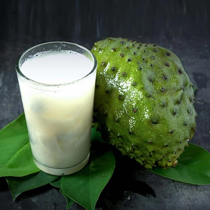 Giant Soursop Seeds Annona Tropical Fruit with Sweet & Tangy Flavor for Culinary & Health Benefits - 35 Pieces