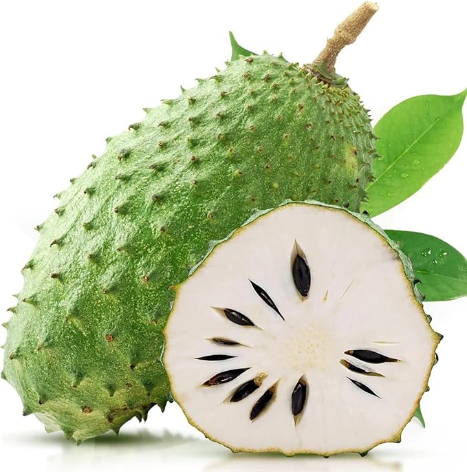 Giant Soursop Seeds Annona Muricata Tropical Fruit Tree, Sweet And Tangy Flavor