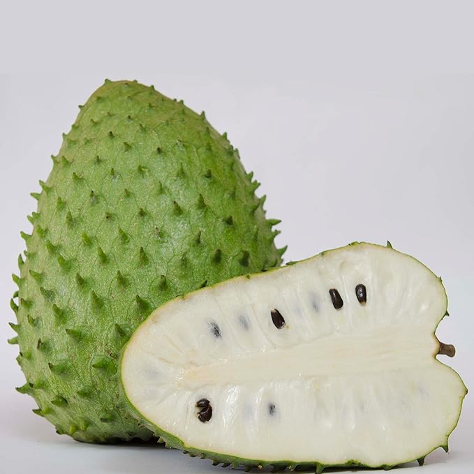 Giant Soursop Seeds Annona Muricata Tropical Fruit Tree, Sweet And Tangy Flavor