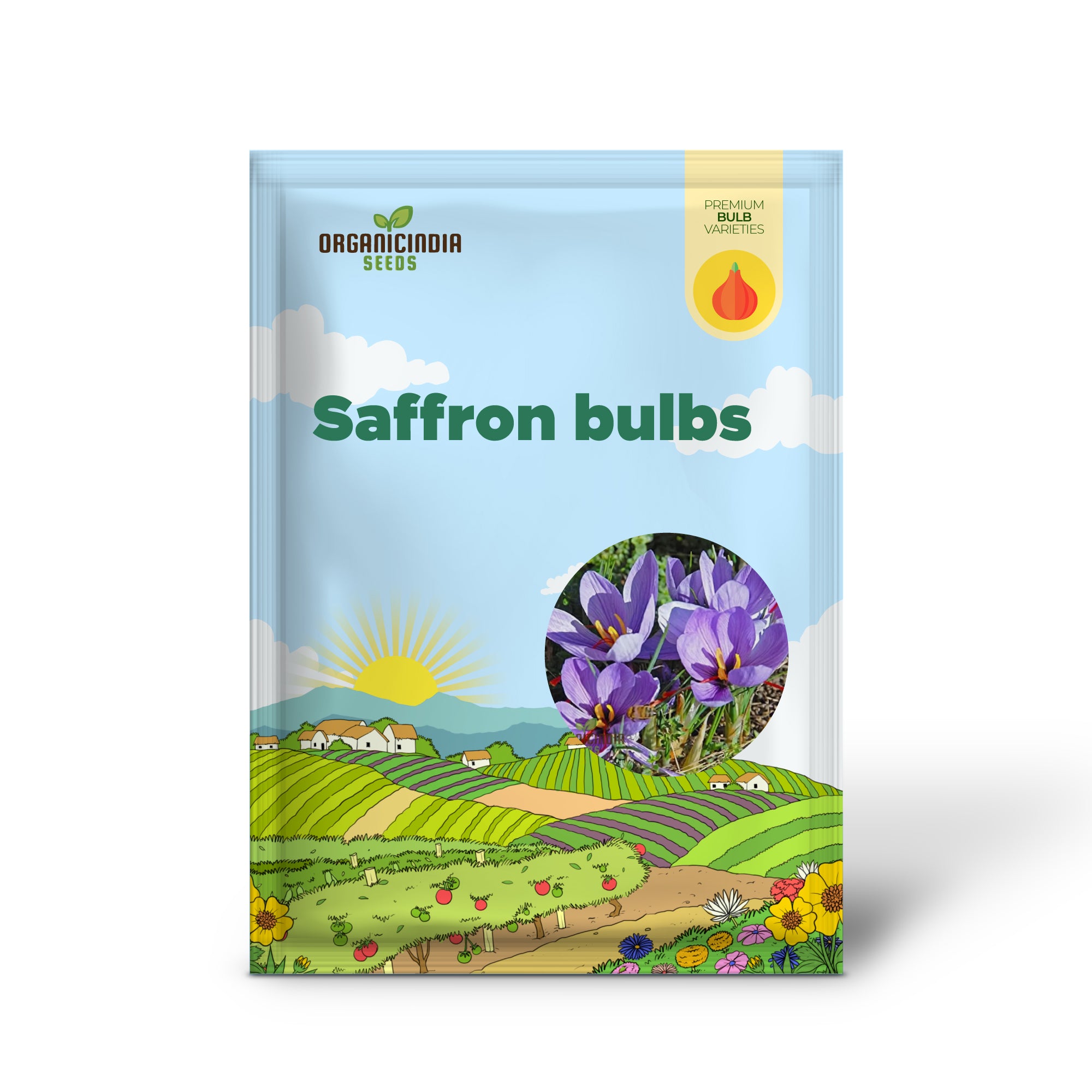 Saffron bulbs, Crocus Sativus Corms - (3 Bulbs for Planting)