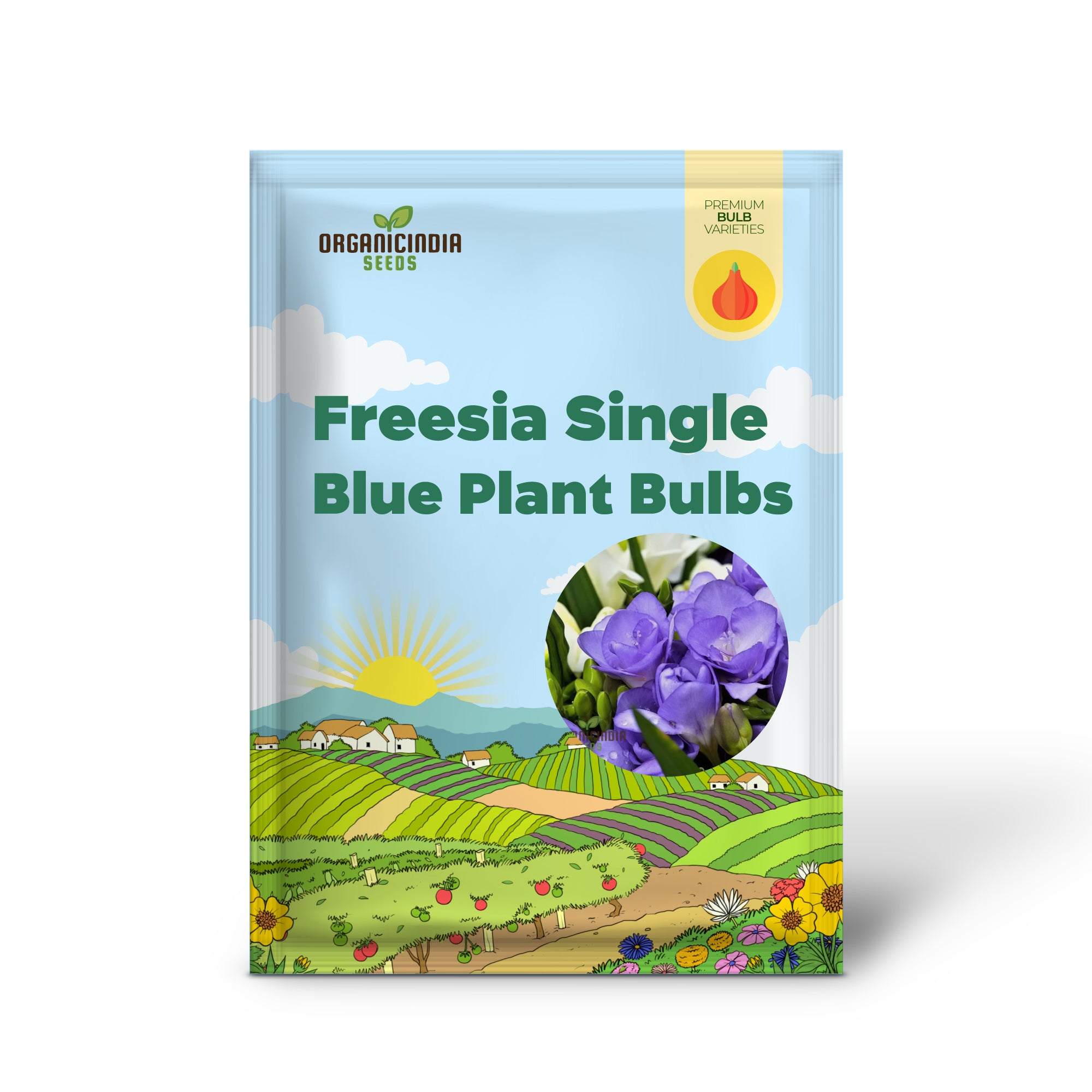 Einzelne blaue Freesien-Pflanzzwiebeln für den Garten – duftende blau-violette Freesien in Einzelform (3 Zwiebeln zum Einpflanzen)