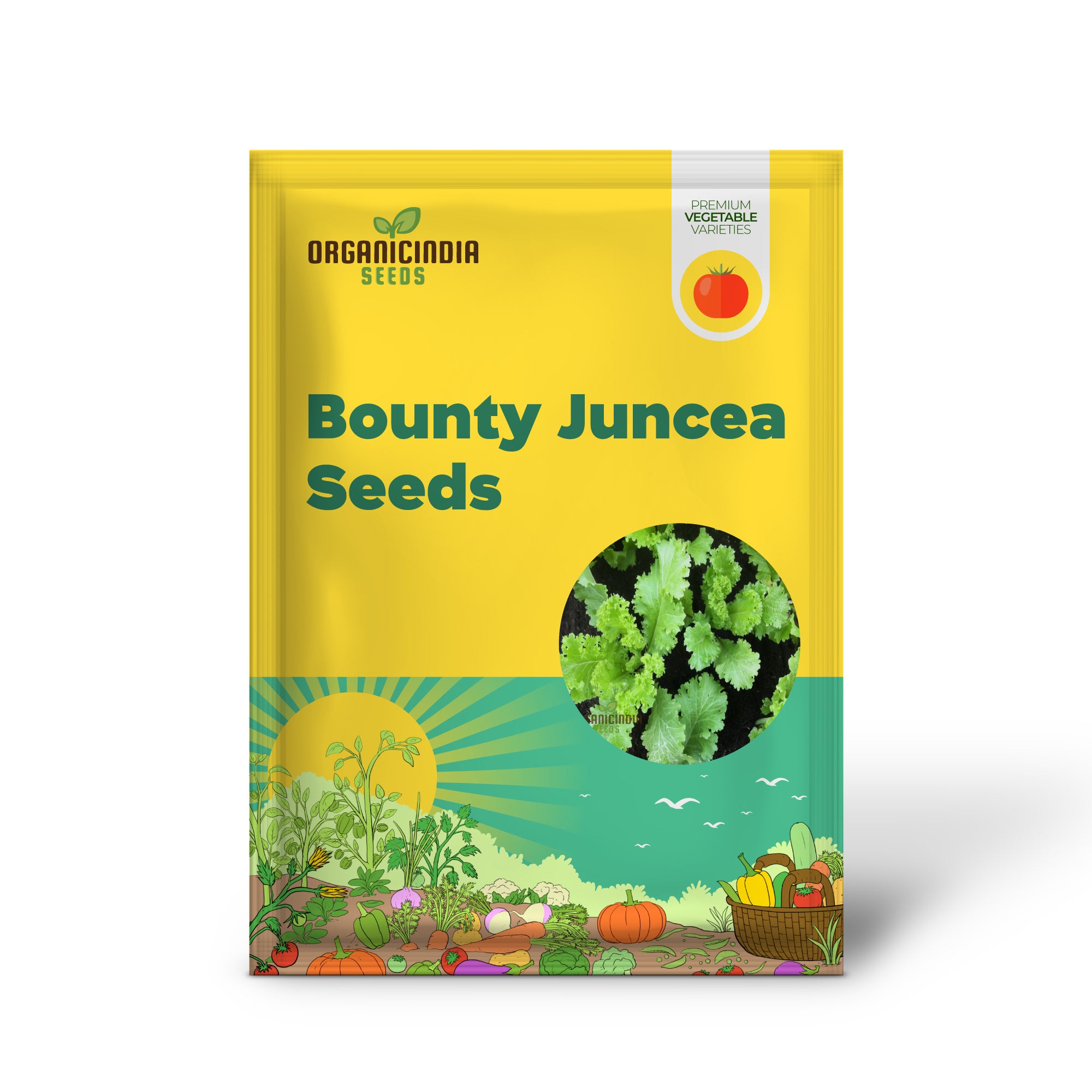 Zesty Brassica Bounty Juncea Vegetable Seeds for Home Gardening Delight