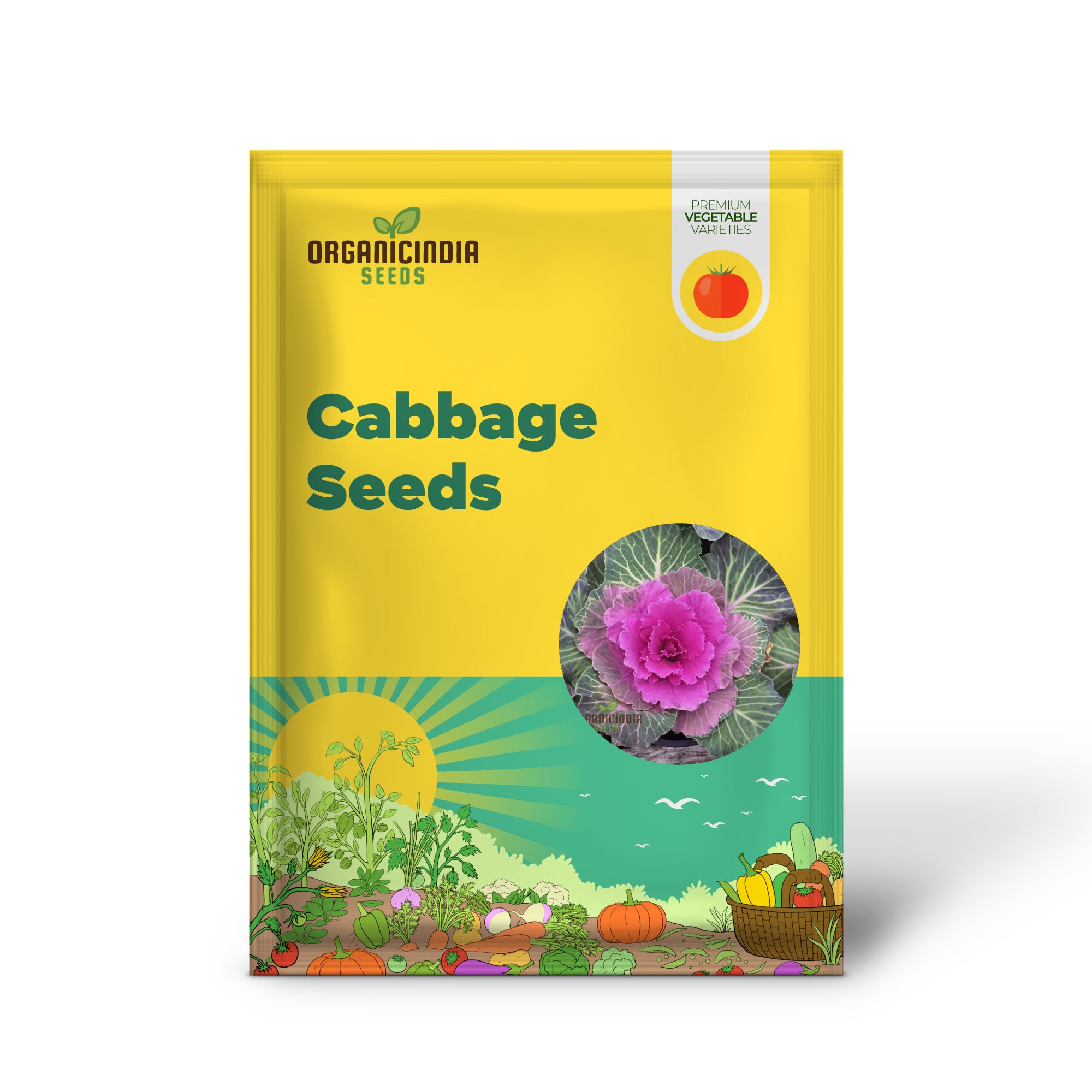 Embark on a Floral Journey - Cultivating Cabbage Flowers seeds from Seed to Splendor, Transforming Your Garden into a Blossoming Paradise of Elegance and Beauty