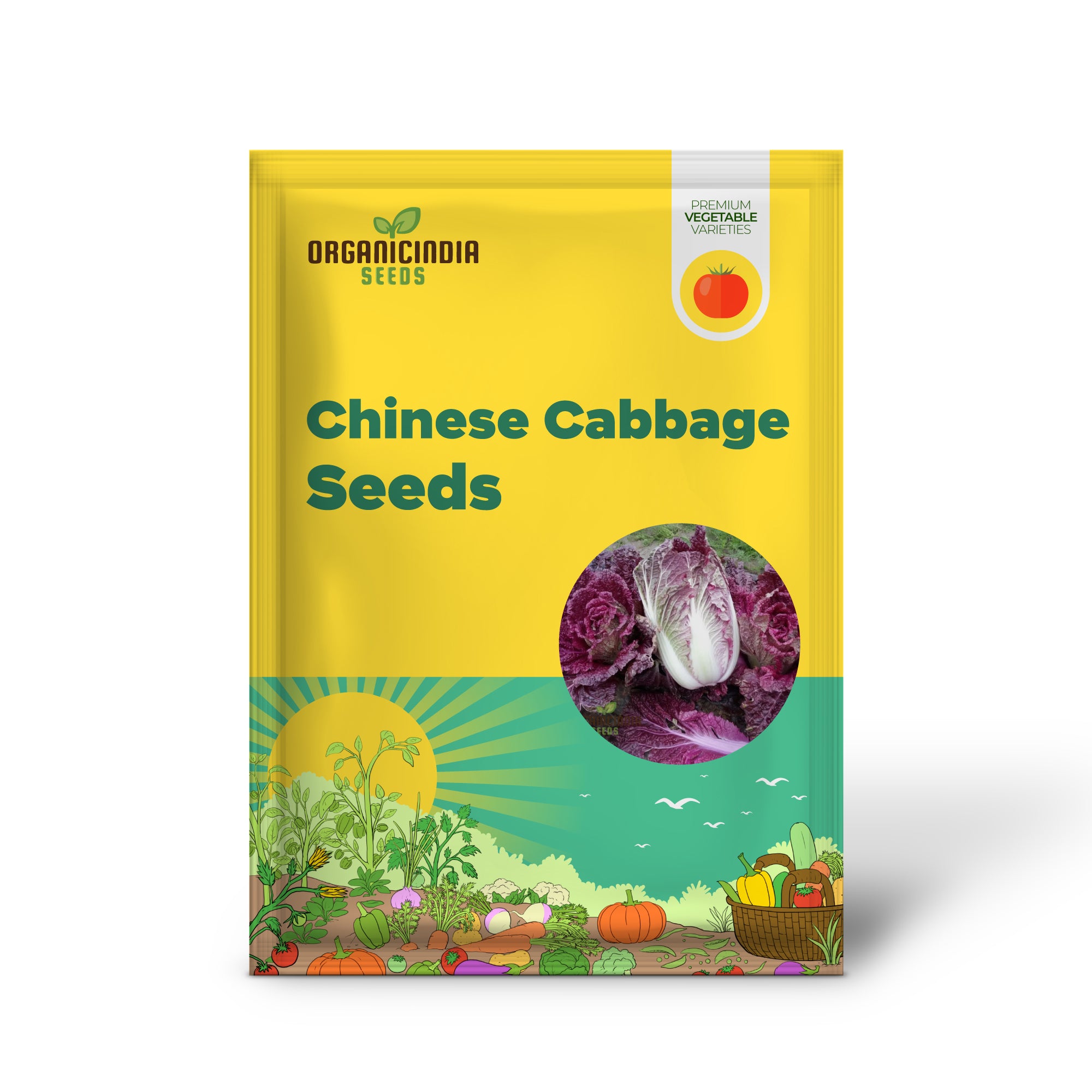 Purple Chinese Cabbage From Seed to Plate, A Journey of Cultivation and Culinary Delight