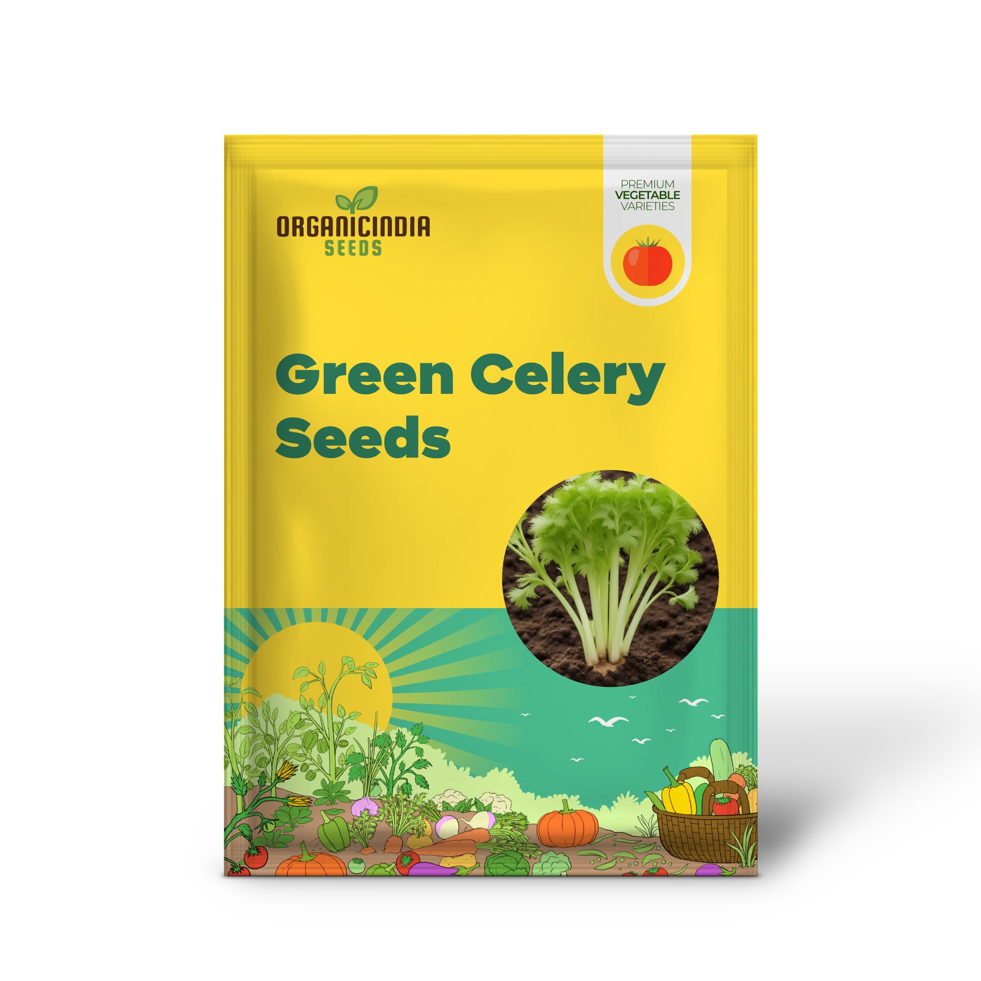 Giant Green Celery Planting Seeds, Cultivate Robust and Crisp Celery in Your Garden