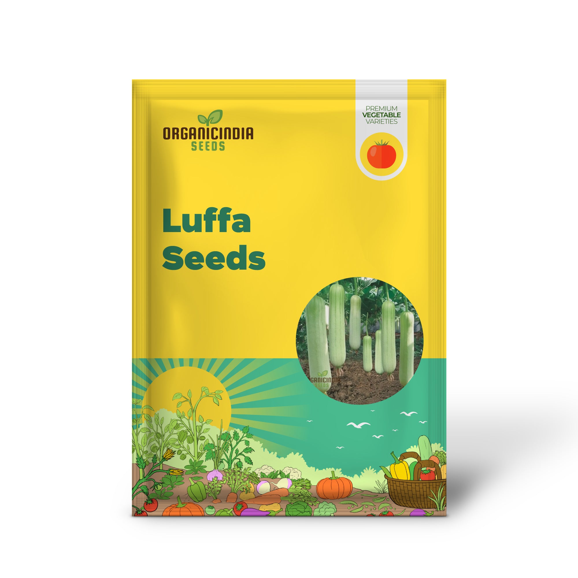 Elite High-Germination Luffa Vegetable Seeds Cultivate Superior, Lush Sprouts for Your Garden