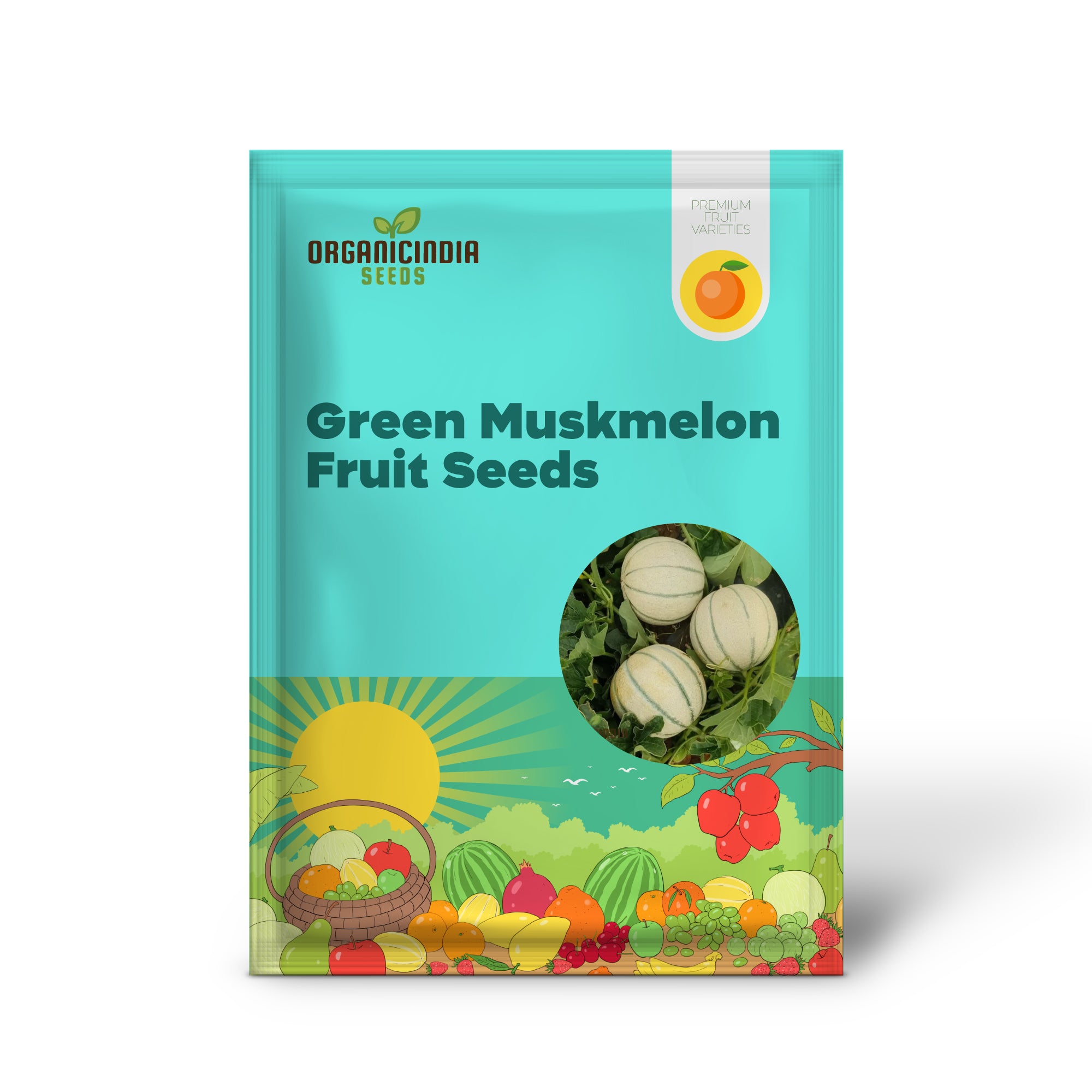 Green Muskmelon Seeds, Smooth fruit Planting Seeds For Plant Gardening