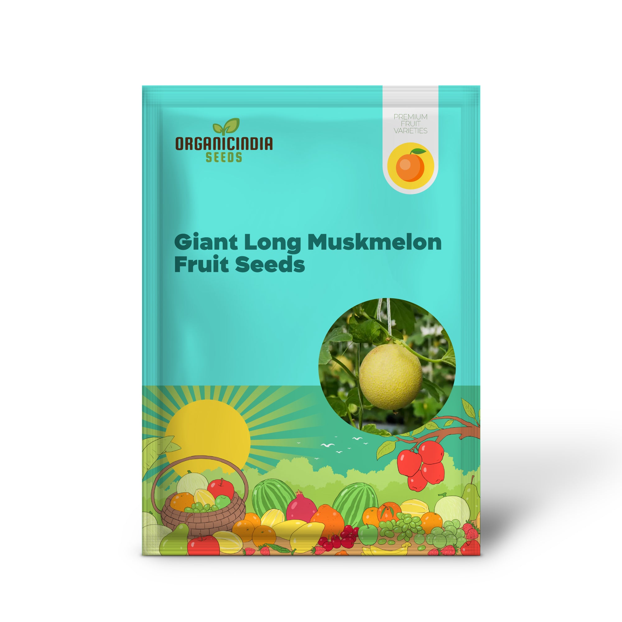 Monumental Vines Cultivating Giant Long Muskmelon Fruit Seeds, Embark on a Gardening Odyssey, Muskmelon Seeds