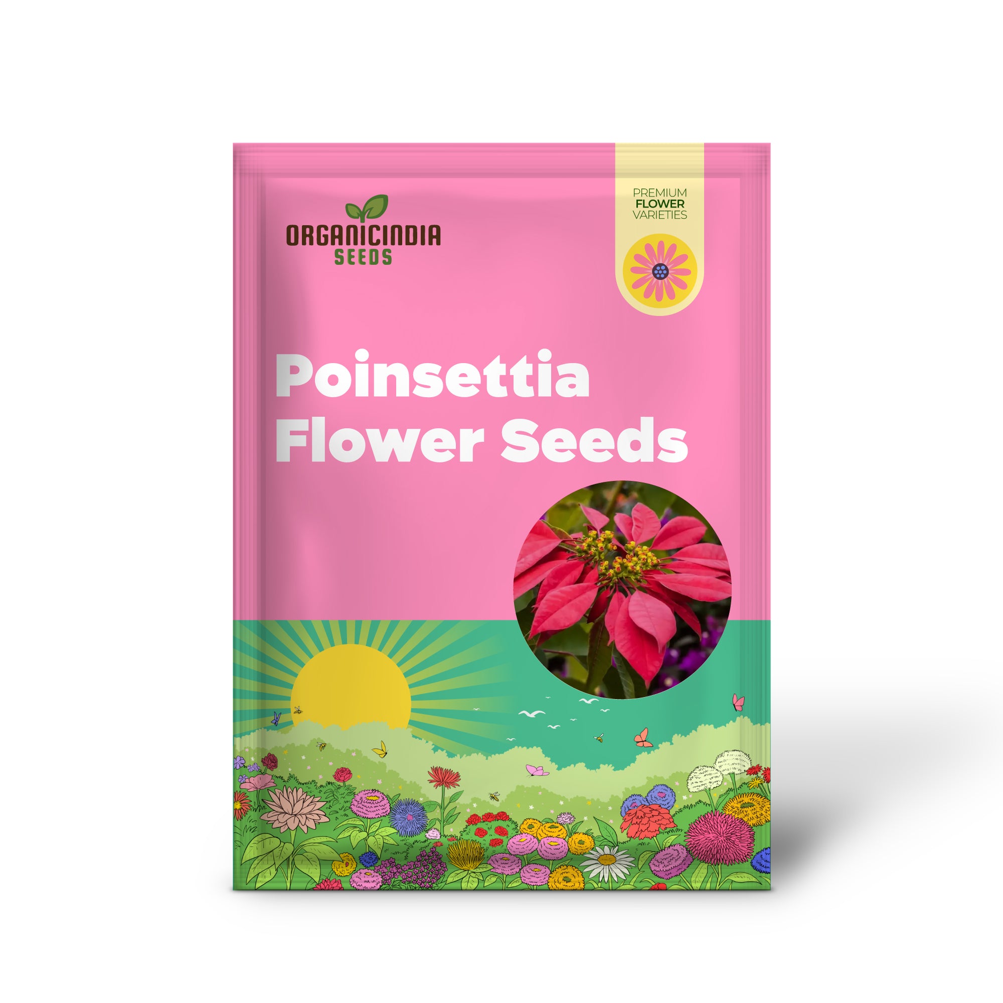 Premium Poinsettia Flower Seeds for Organic Planting, High-Quality Organic Seeds