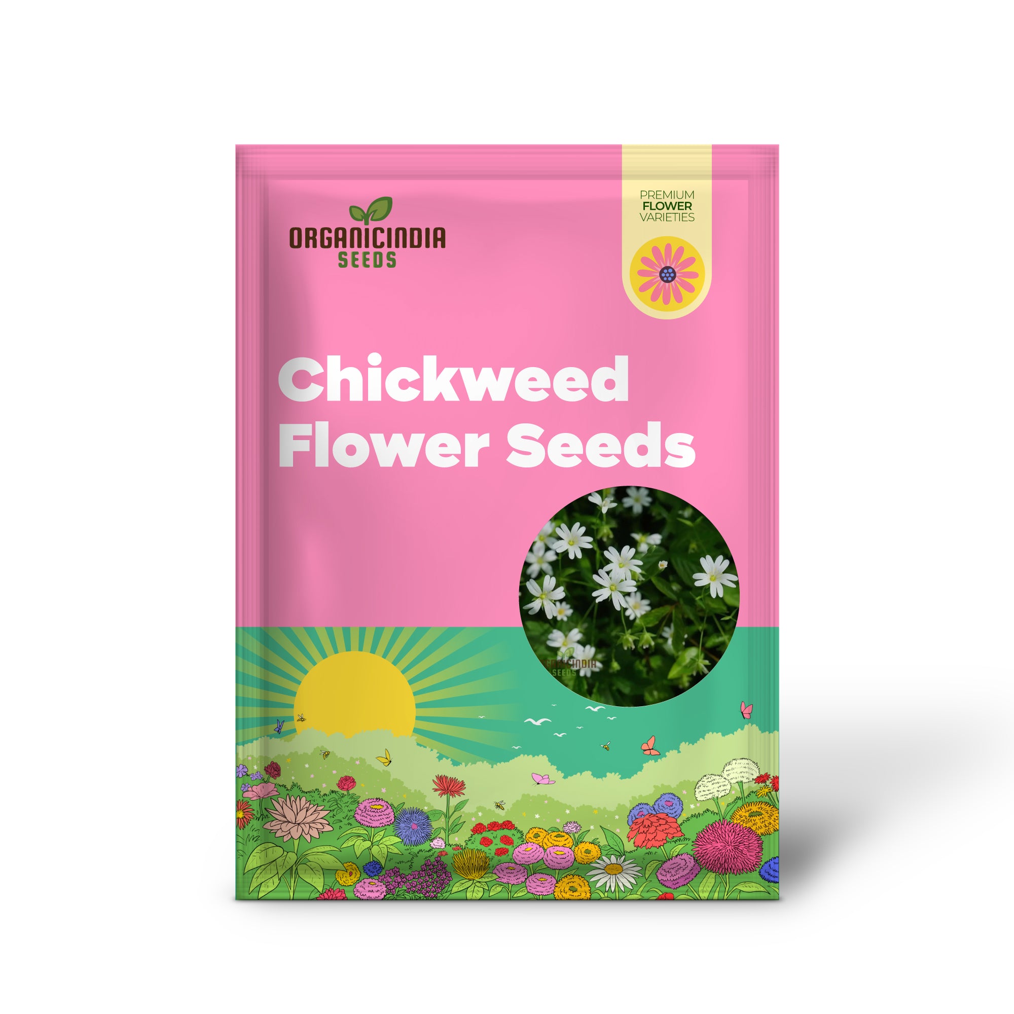 Chickweed Flower Seeds for Planting,Green Blooms and Versatile Beauty