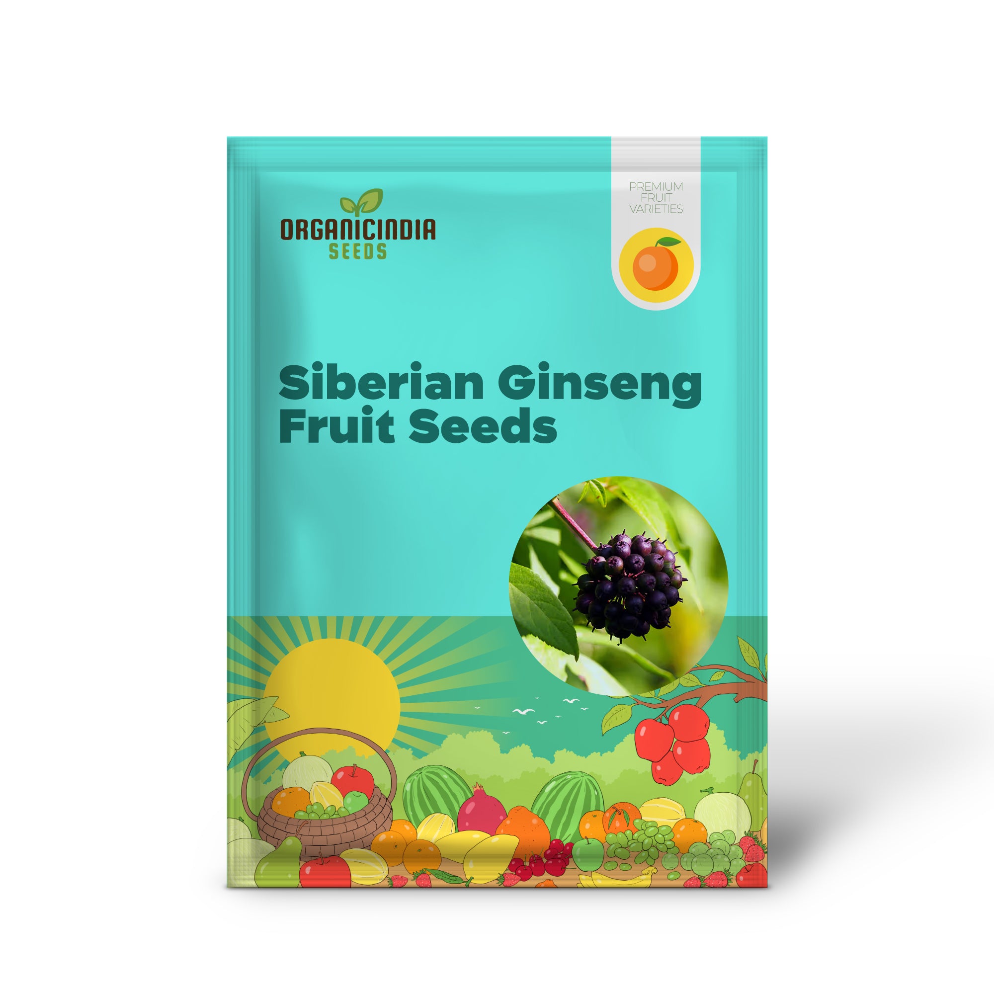 Siberian Ginseng Fruit Seeds  Elevate Your Gardening with Medicinal Blooms and Bountiful Harvests