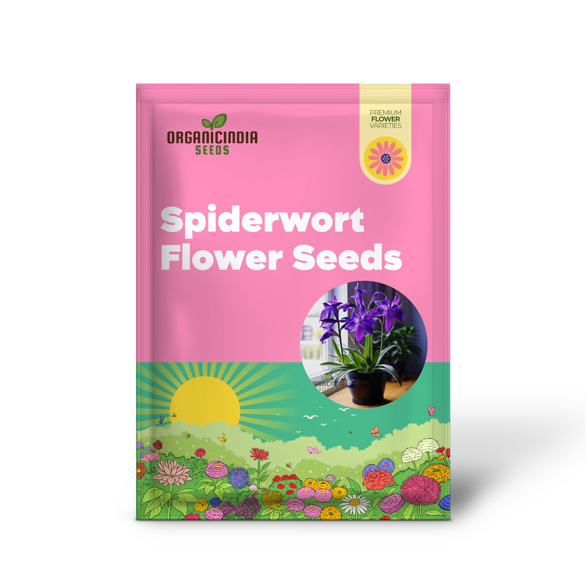 Tradescantia Spiderwort Graines de fleurs – Fleurs vibrantes pour de magnifiques expositions de jardin, graines de fleurs de qualité supérieure pour la plantation et le jardinage