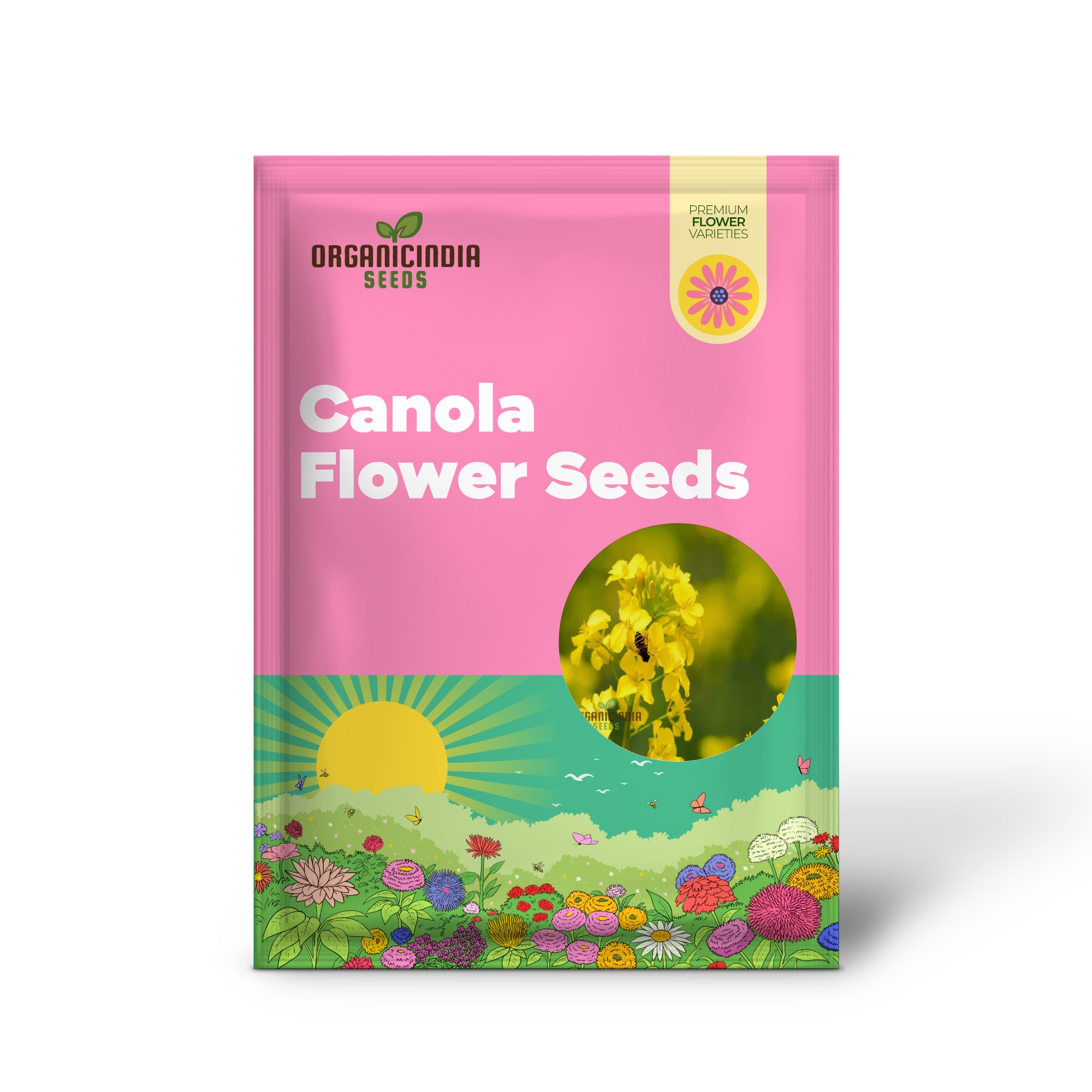 Cultivate Golden Fields, Canola Flower Seeds - Premium Flowering Seeds for Planting and Gardening to Enhance Your Homegrown Harvests