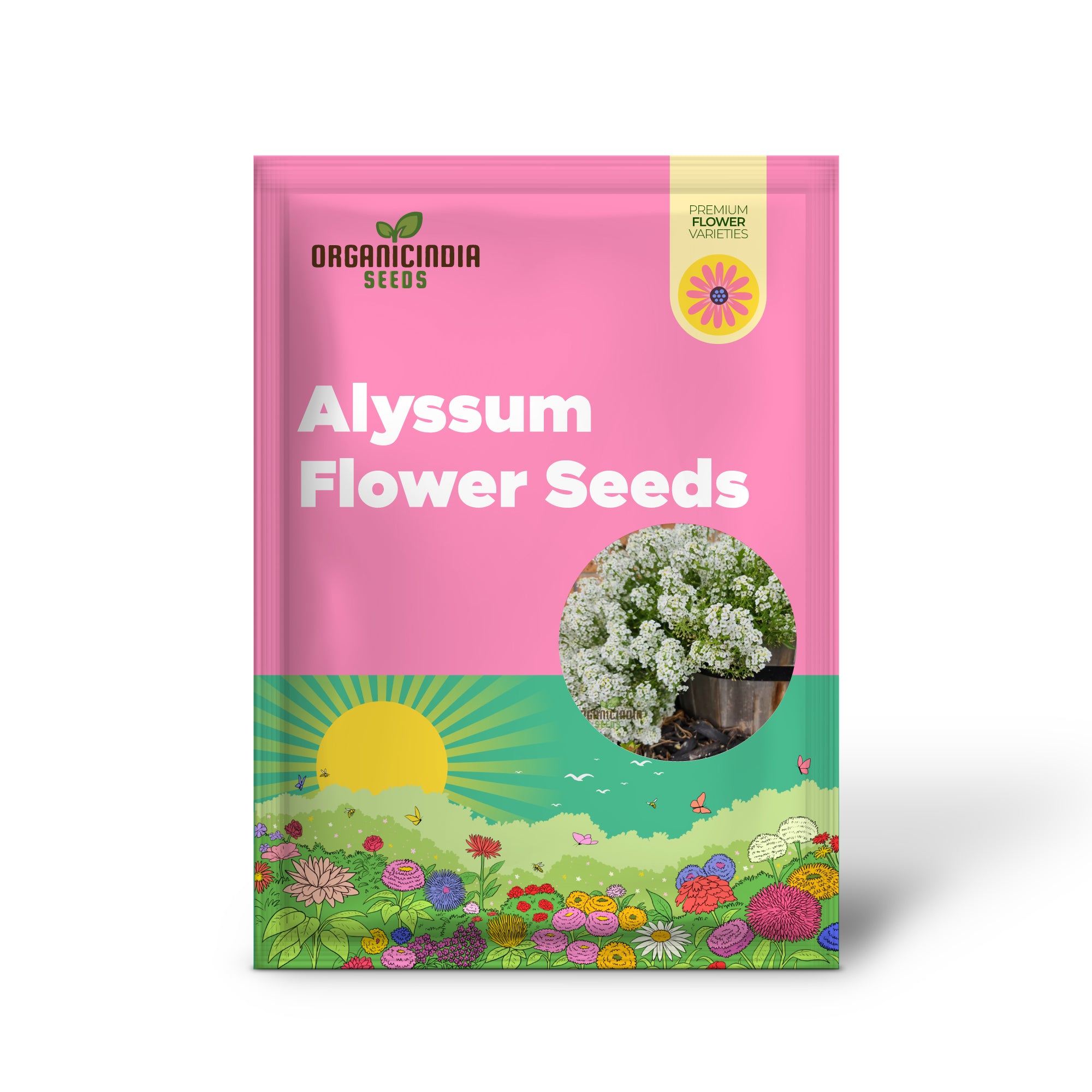 Create a Carpet of Blooms, Sweet Alyssum Flower Seeds - Ideal for Planting and Gardening to Transform Your Garden with Fragrant Beauty