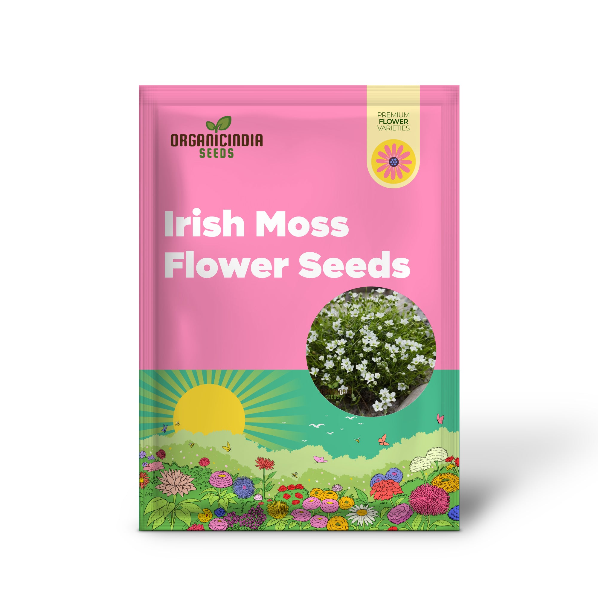 Lush Green Ground Cover, Irish Moss Planting Flower Seeds - Perfect for Planting and Gardening to Enhance Your Garden's Charm