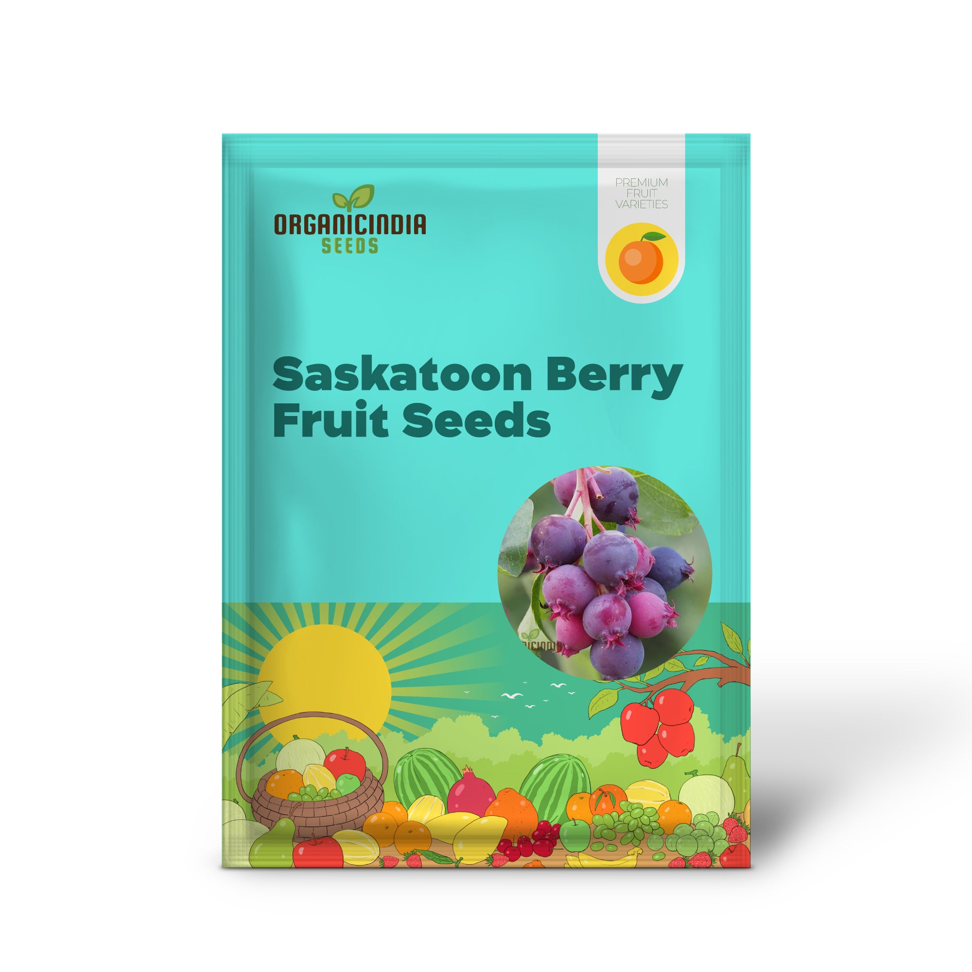 Saskatoon Beerenfruchtsamen „Erhöhen Sie Ihr Gartenerlebnis mit köstlichen, nahrhaften Beeren